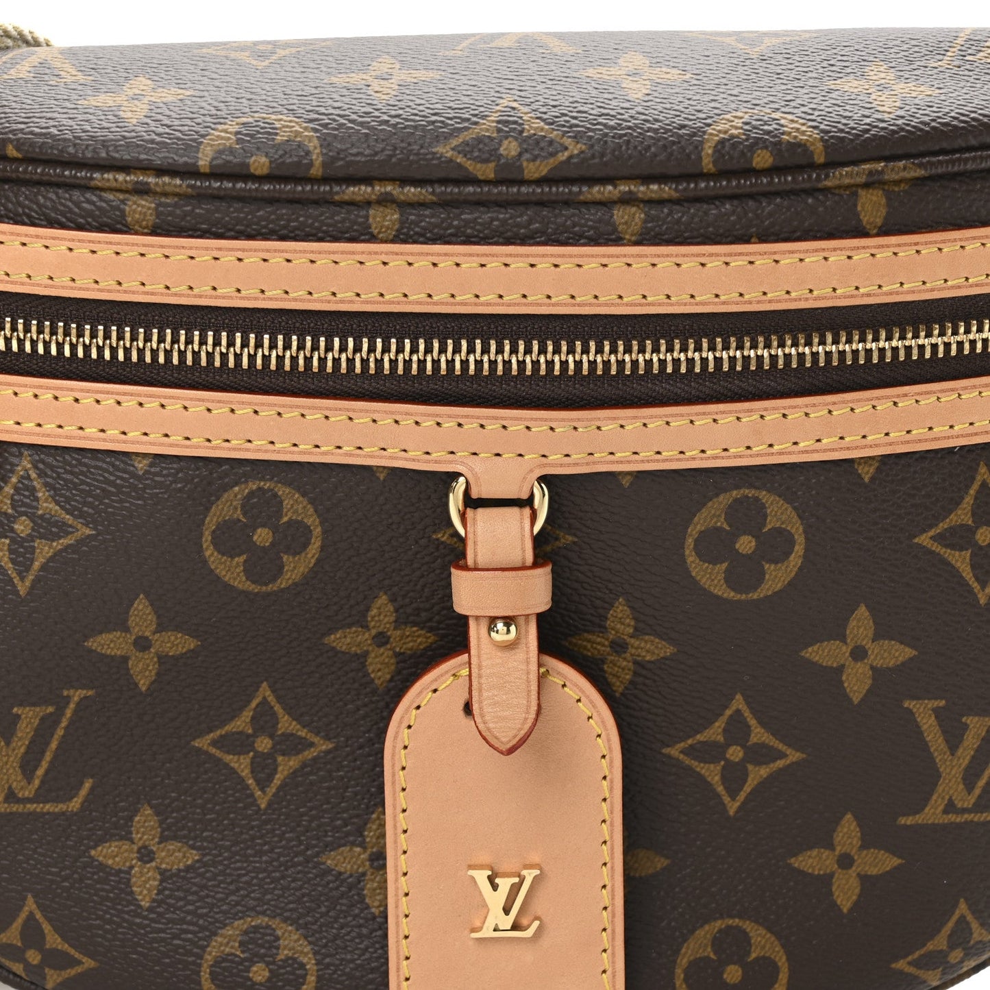 Louis Vuitton Monogram High Rise Bumbag