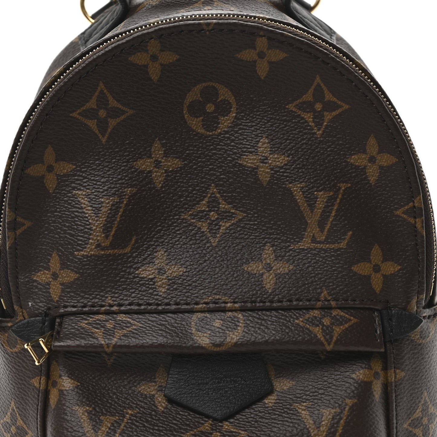 Louis Vuitton Monogram Palm Springs Backpack Mini