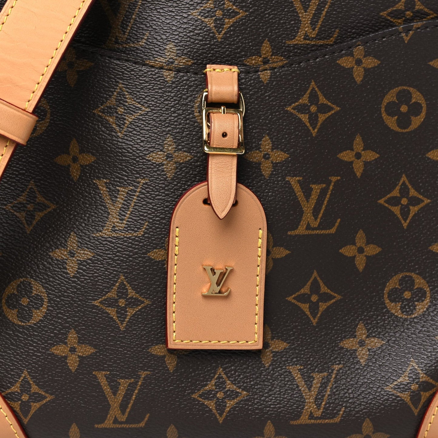 Louis Vuitton Monogram Odeon PM Natural