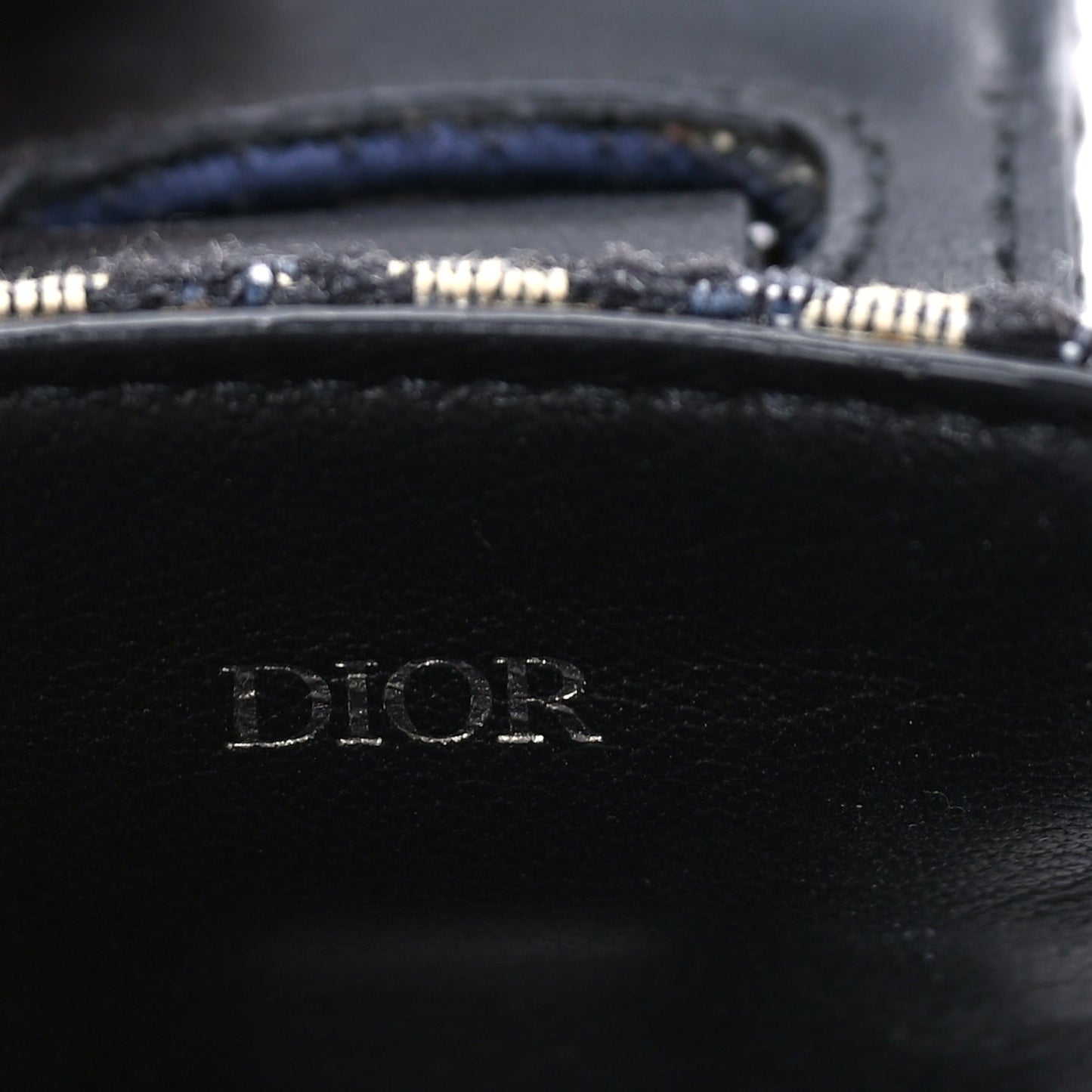Christian Dior Oblique Airpod Pro Case Blue