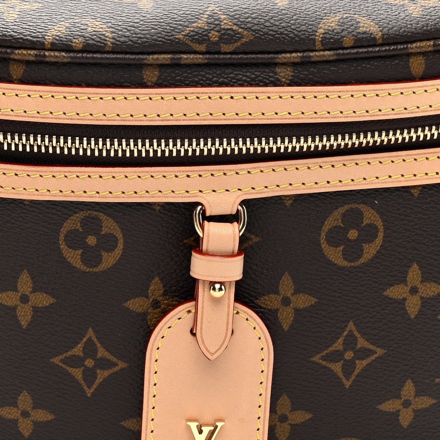 Louis Vuitton Monogram High Rise Bumbag