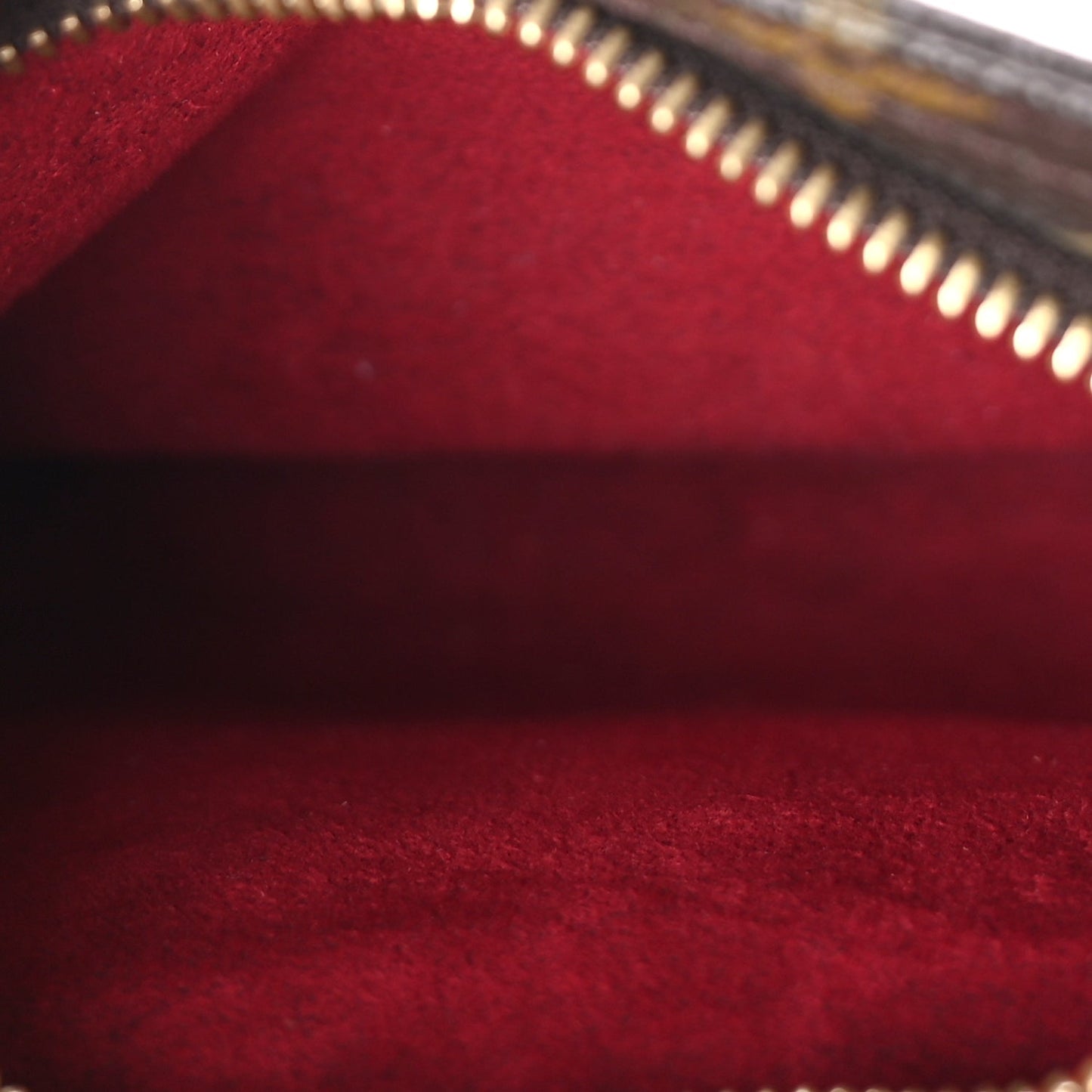 Louis Vuitton Monogram Partition Wristlet