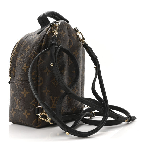 Louis Vuitton Monogram Palm Springs Backpack Mini