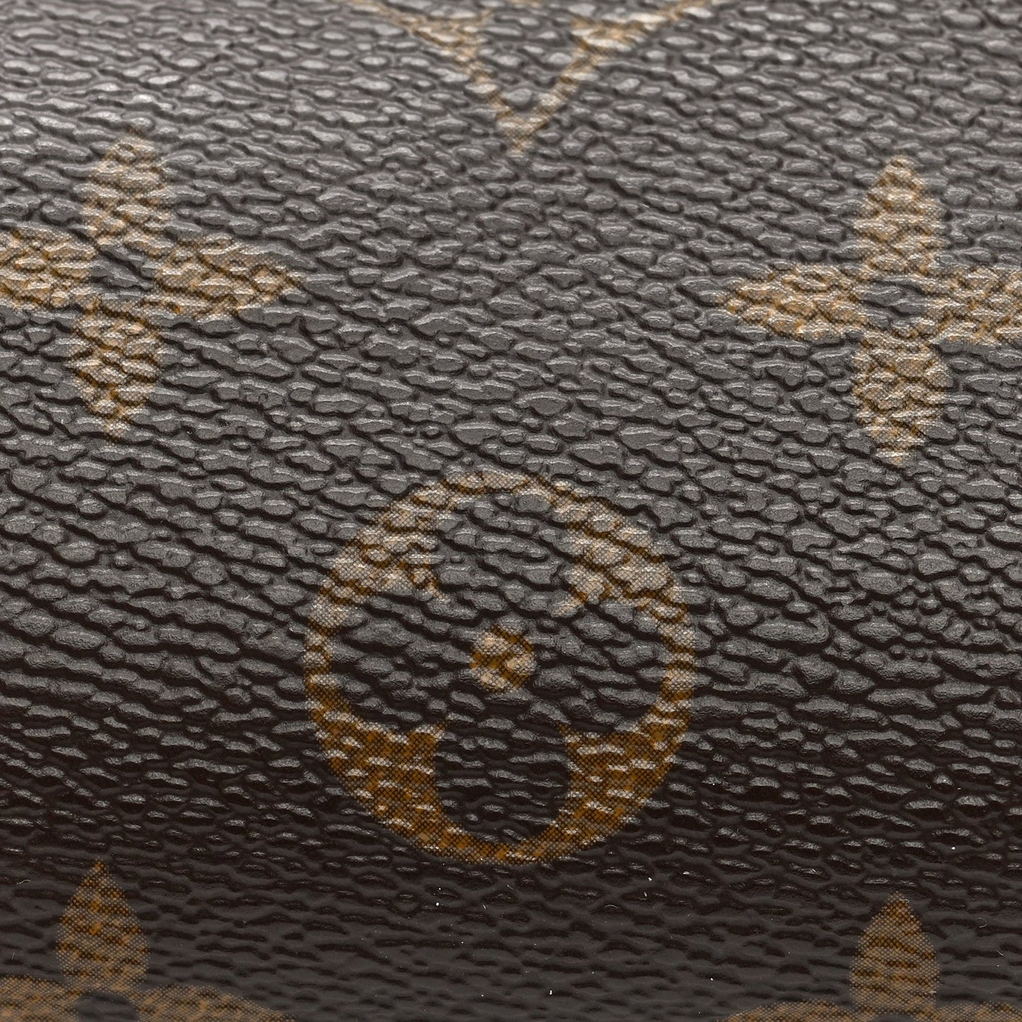 Louis Vuitton Monogram Mini Papillon