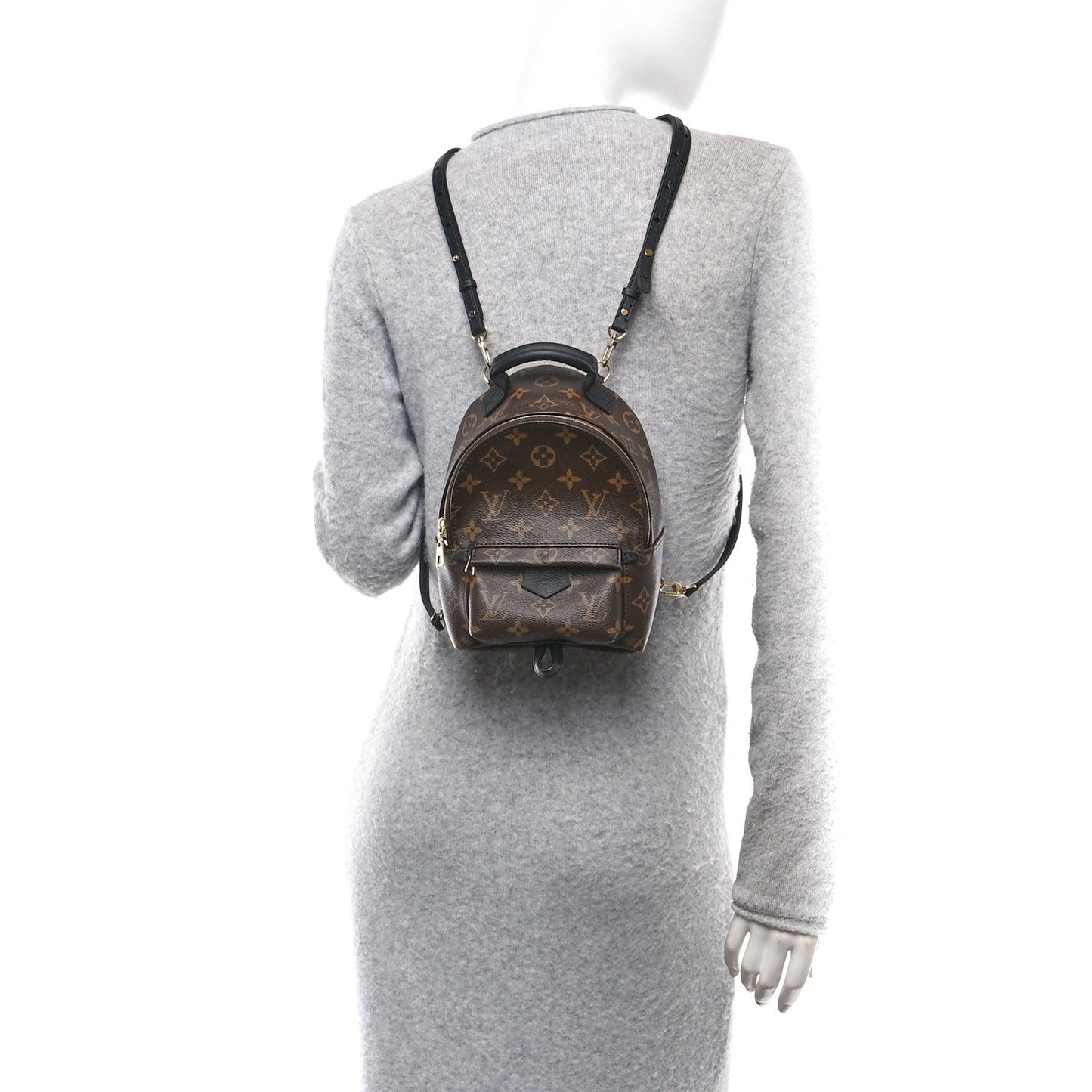 Louis Vuitton Monogram Palm Springs Backpack Mini