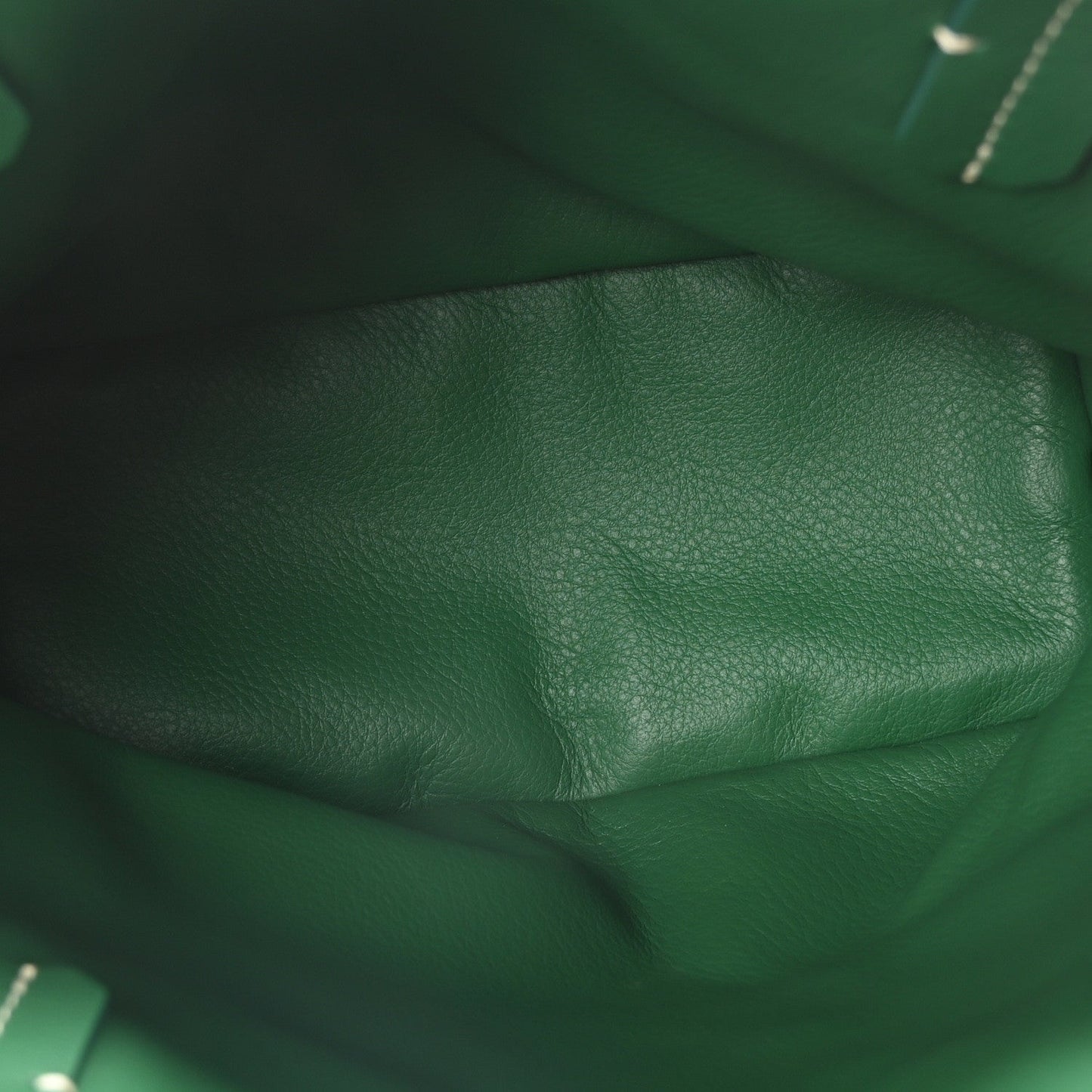 Goyard Goyardine Reversible Mini Anjou Green