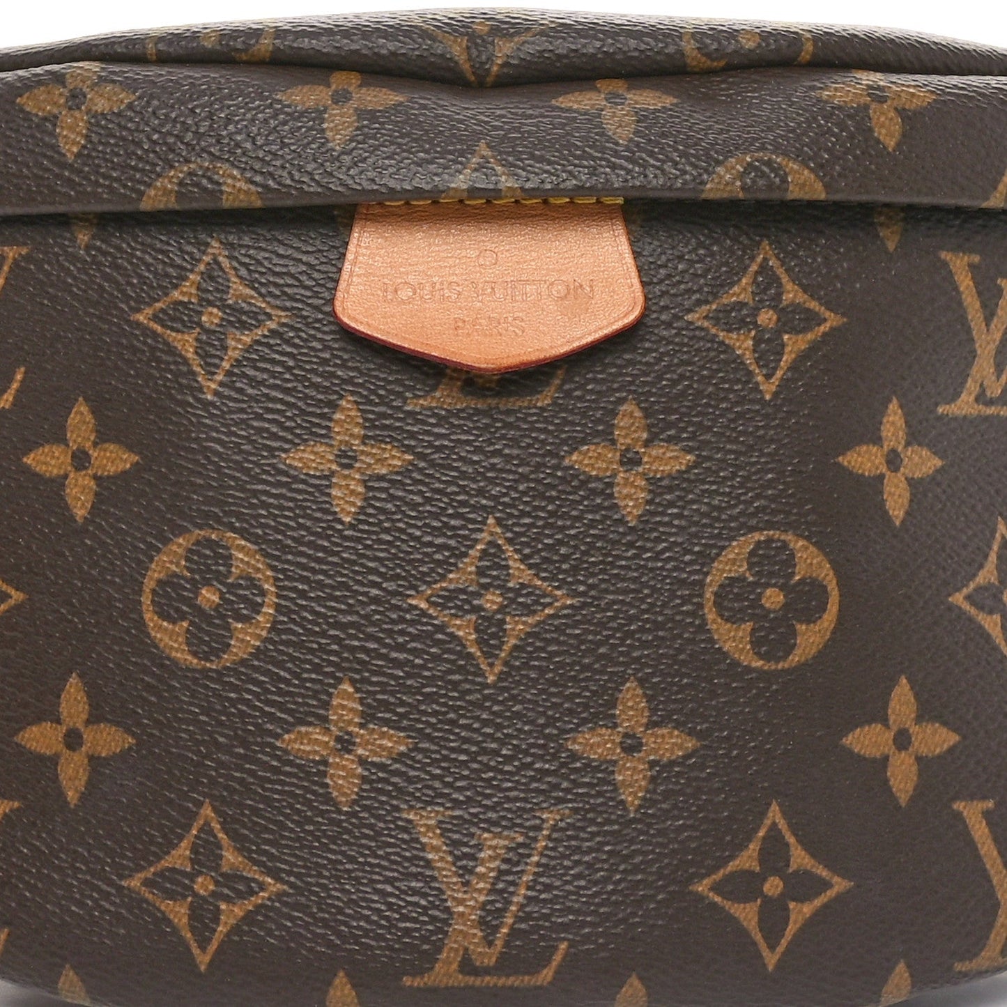 Louis Vuitton Monogram Bumbag