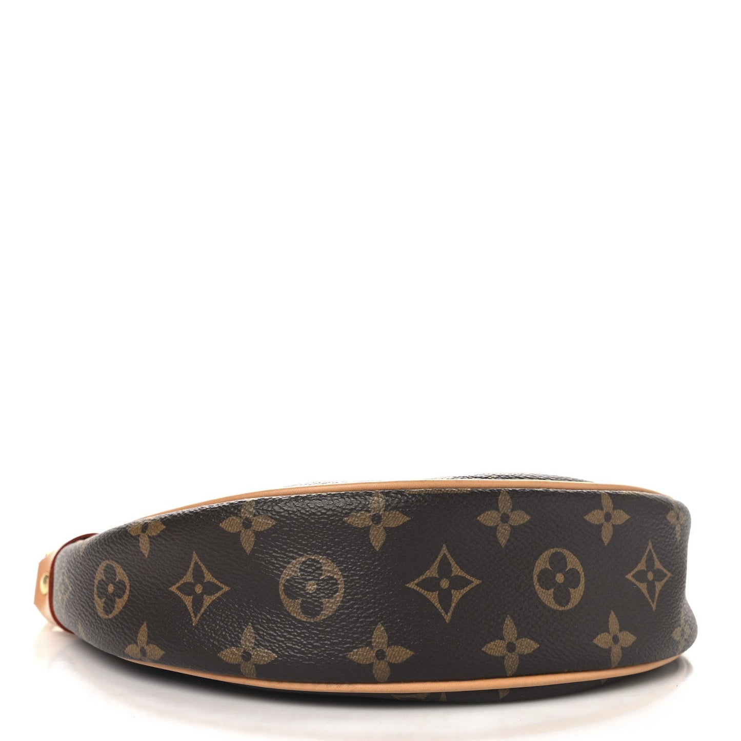 Louis Vuitton Monogram Loop