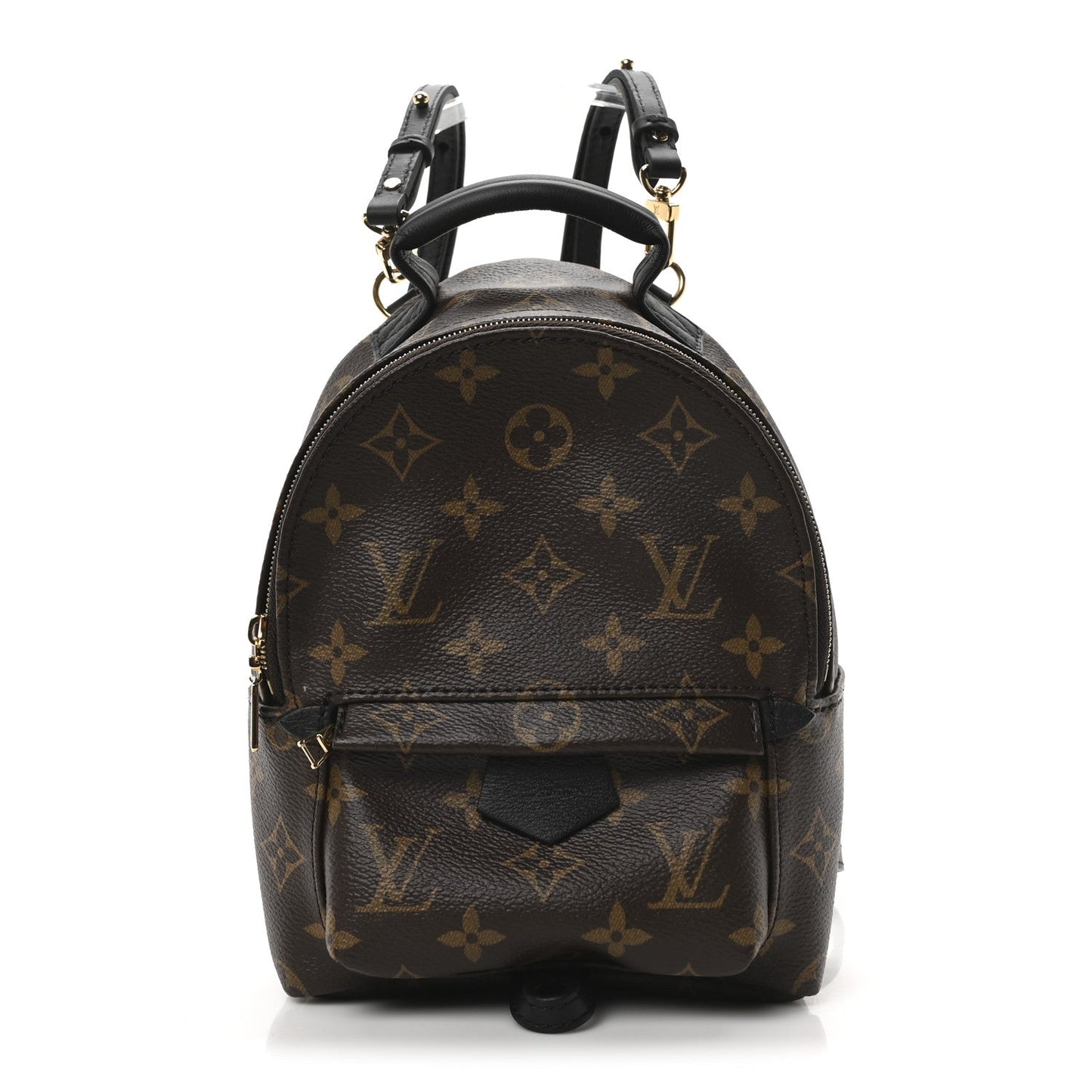 Louis Vuitton Monogram Palm Springs Backpack Mini