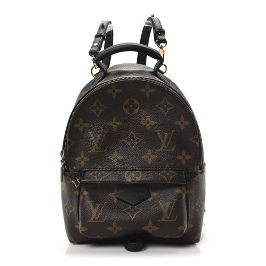 Louis Vuitton Monogram Palm Springs Backpack Mini