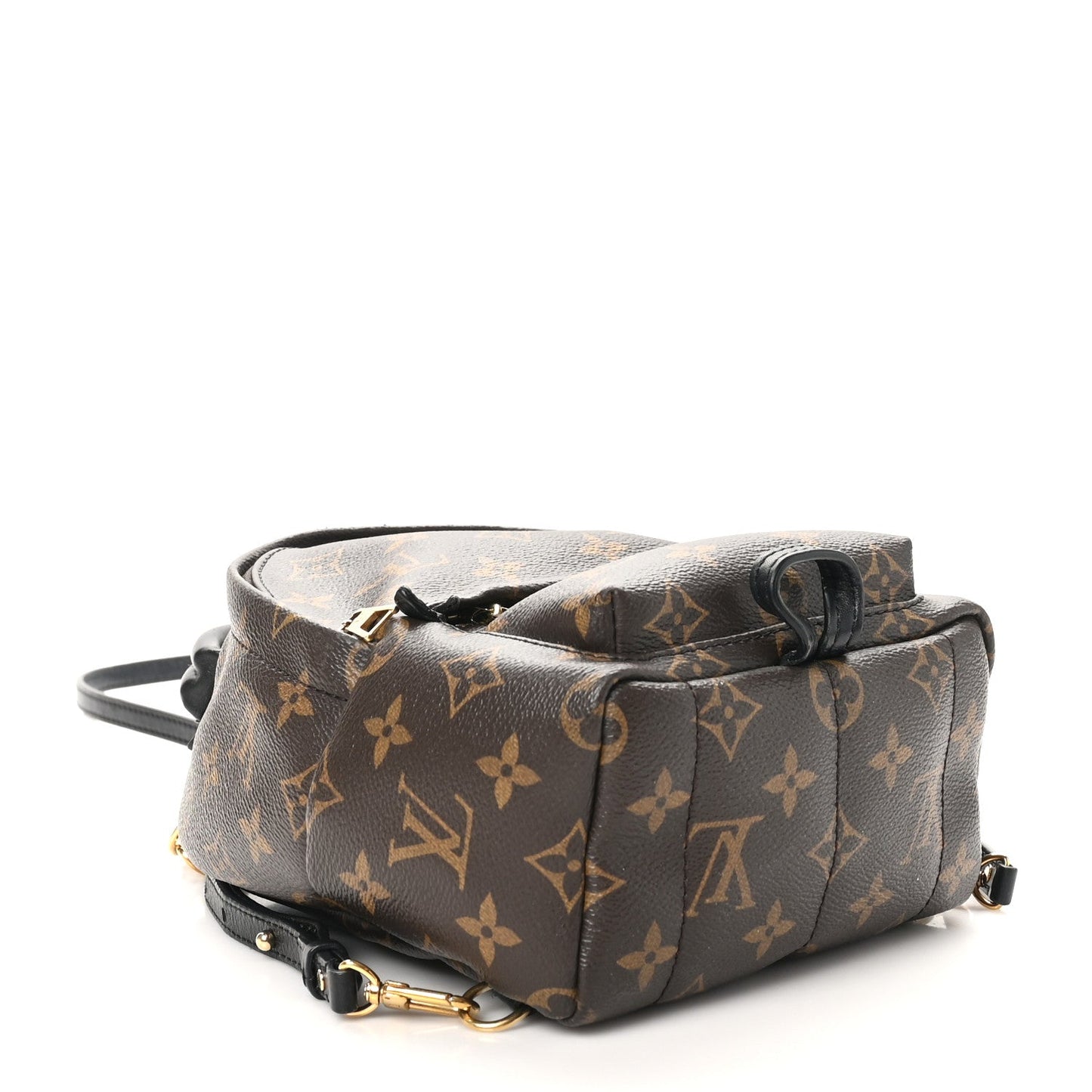 Louis Vuitton Monogram Palm Springs Backpack Mini