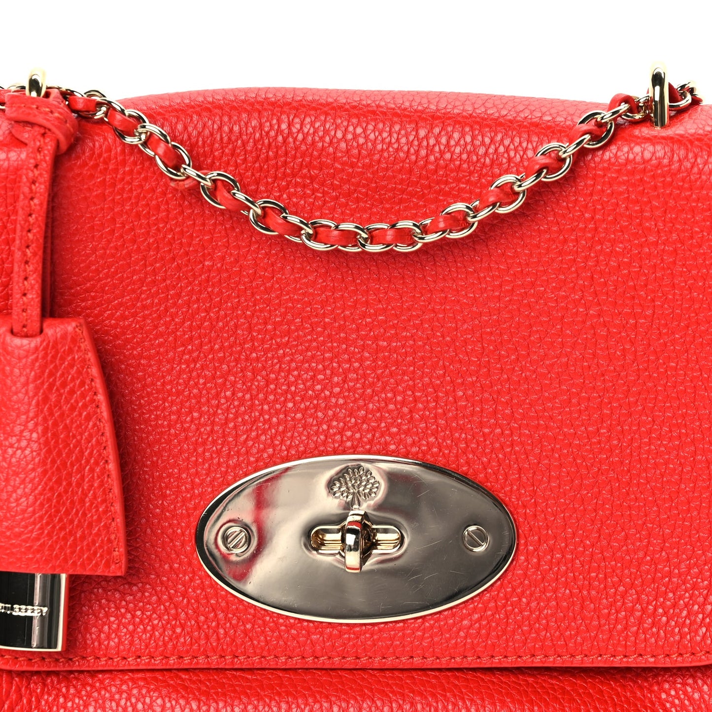 Mulberry Glossy Goatskin Small Lily Flap Red