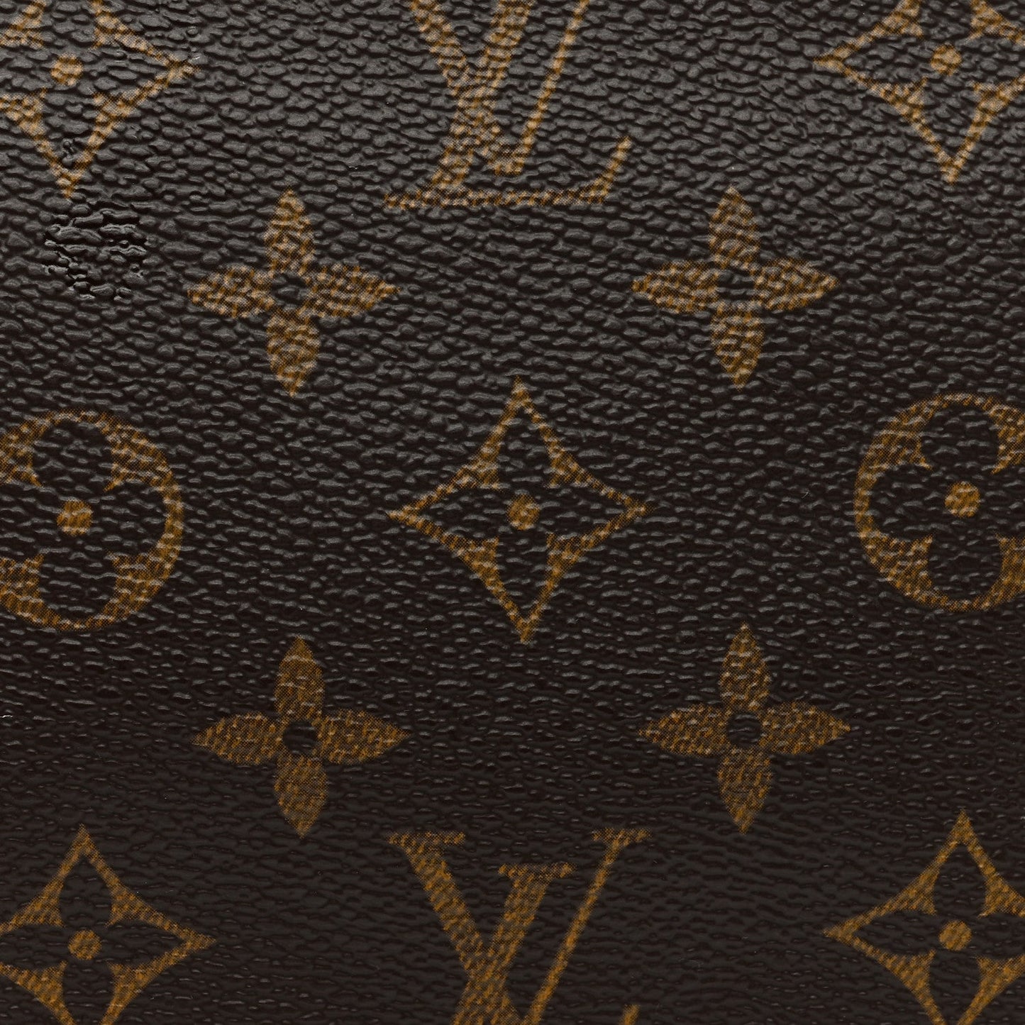 Louis Vuitton Monogram Pochette Accessories