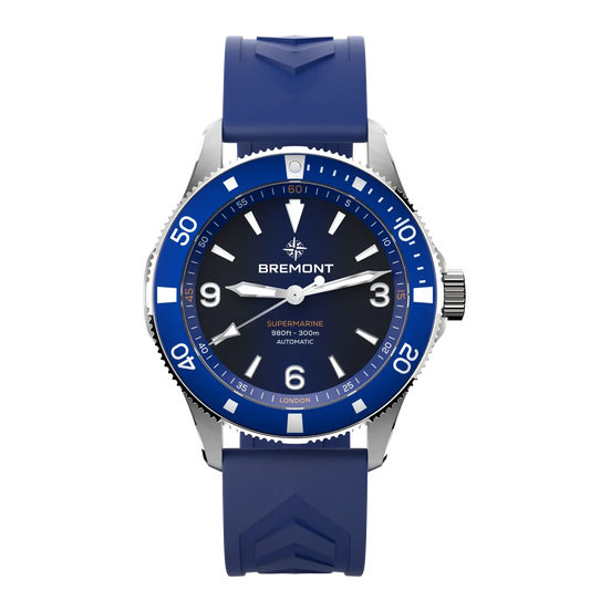 Supermarine 300M
