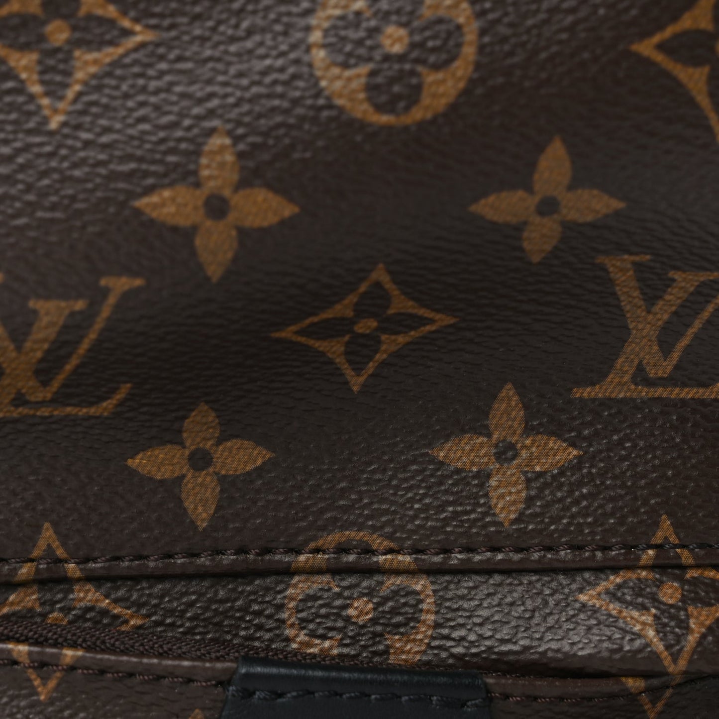 Louis Vuitton Monogram Palm Springs Backpack Mini Black