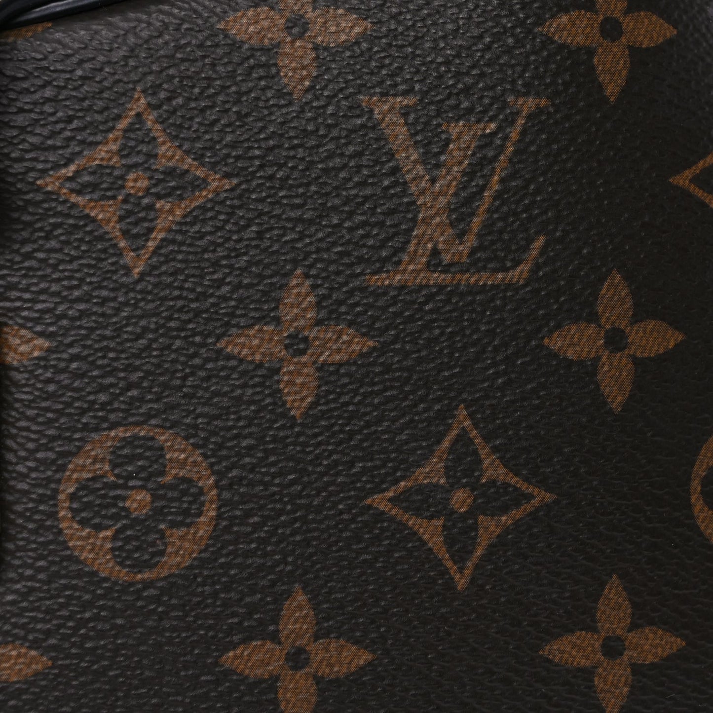 Louis Vuitton Reverse Monogram Twinny