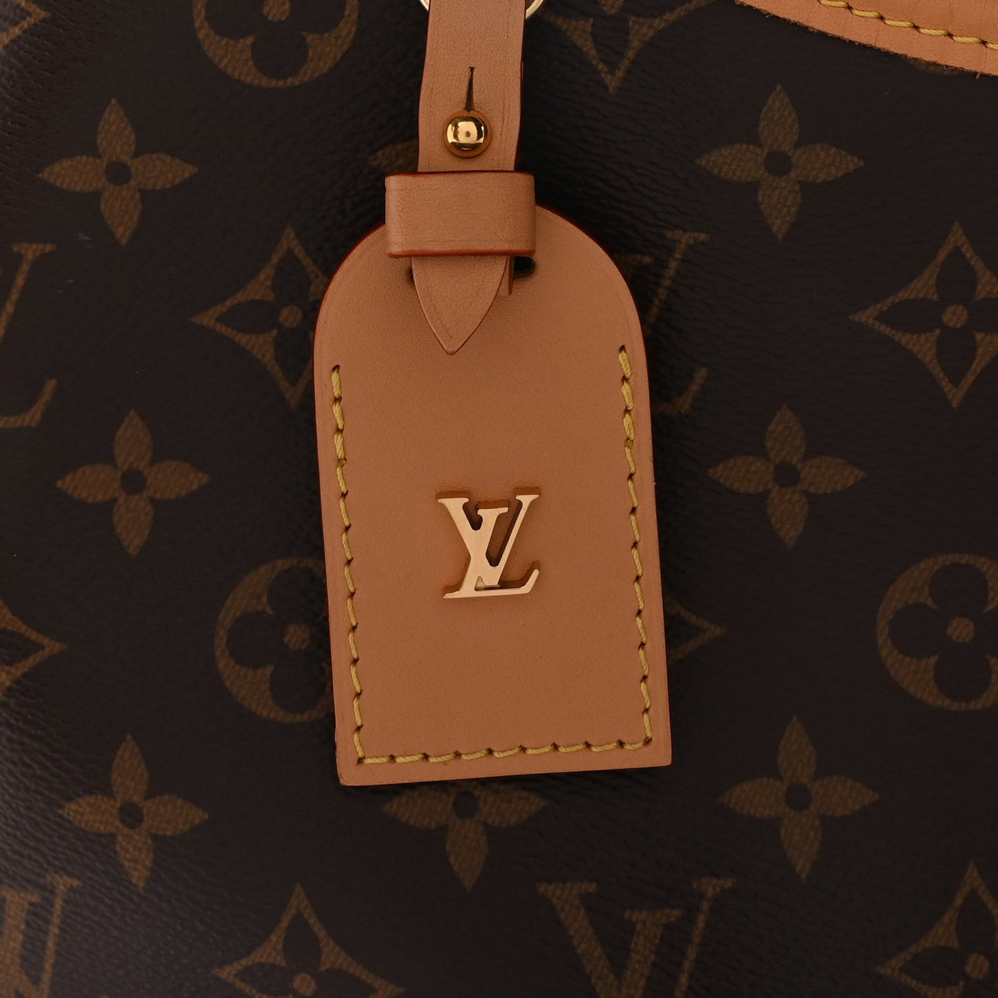 Louis Vuitton Monogram CarryAll PM