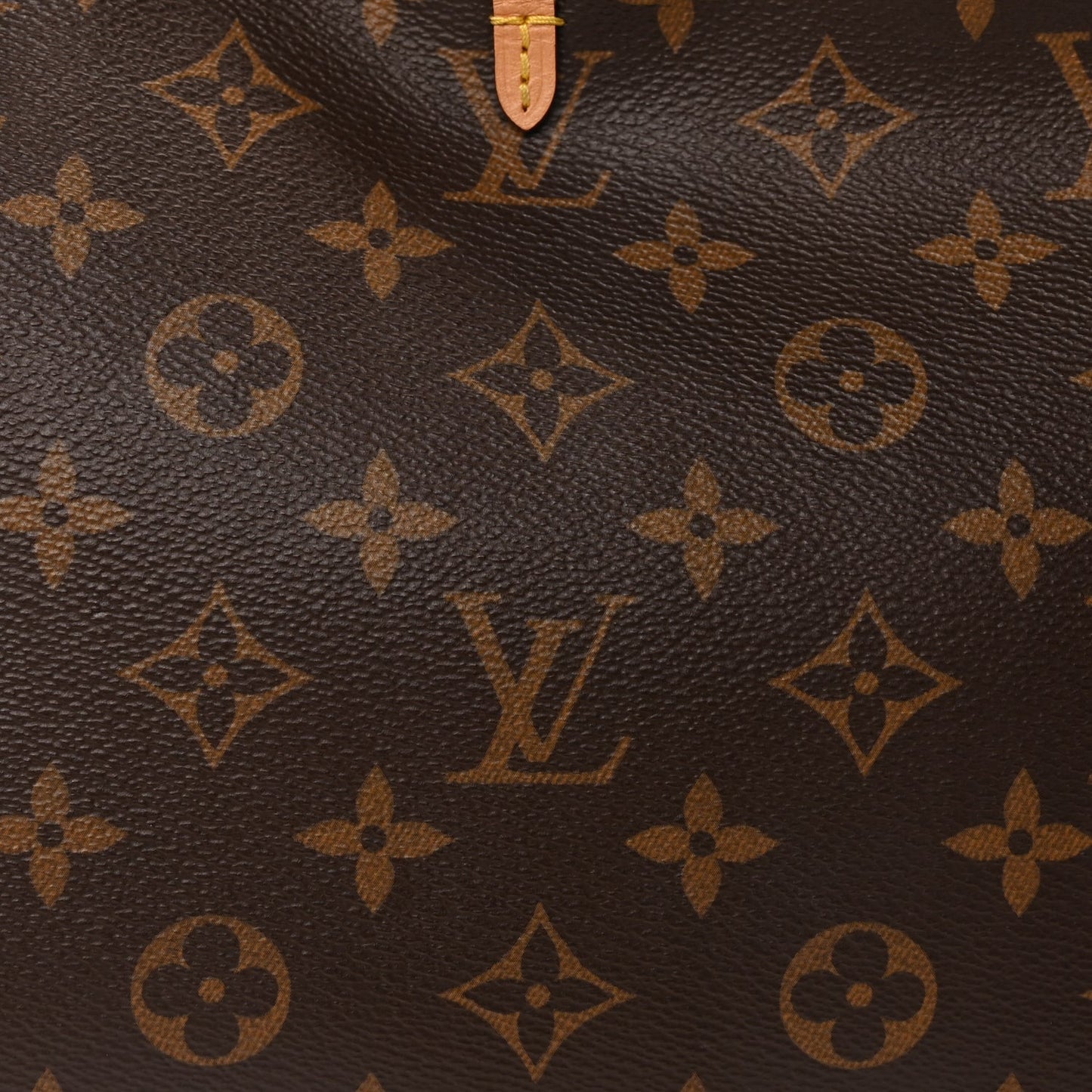 Louis Vuitton Monogram CarryAll PM