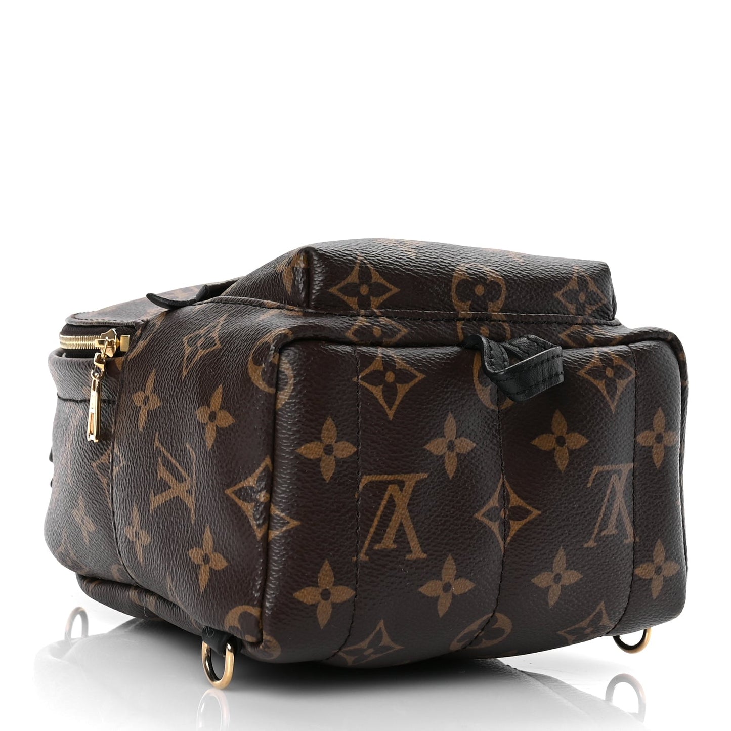Louis Vuitton Monogram Palm Springs Backpack Mini