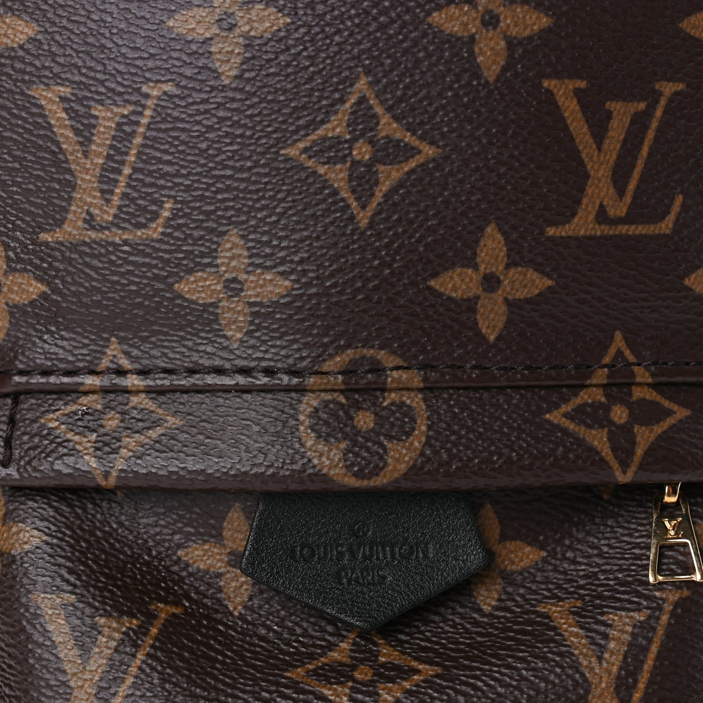 Louis Vuitton Monogram Palm Springs Backpack Mini