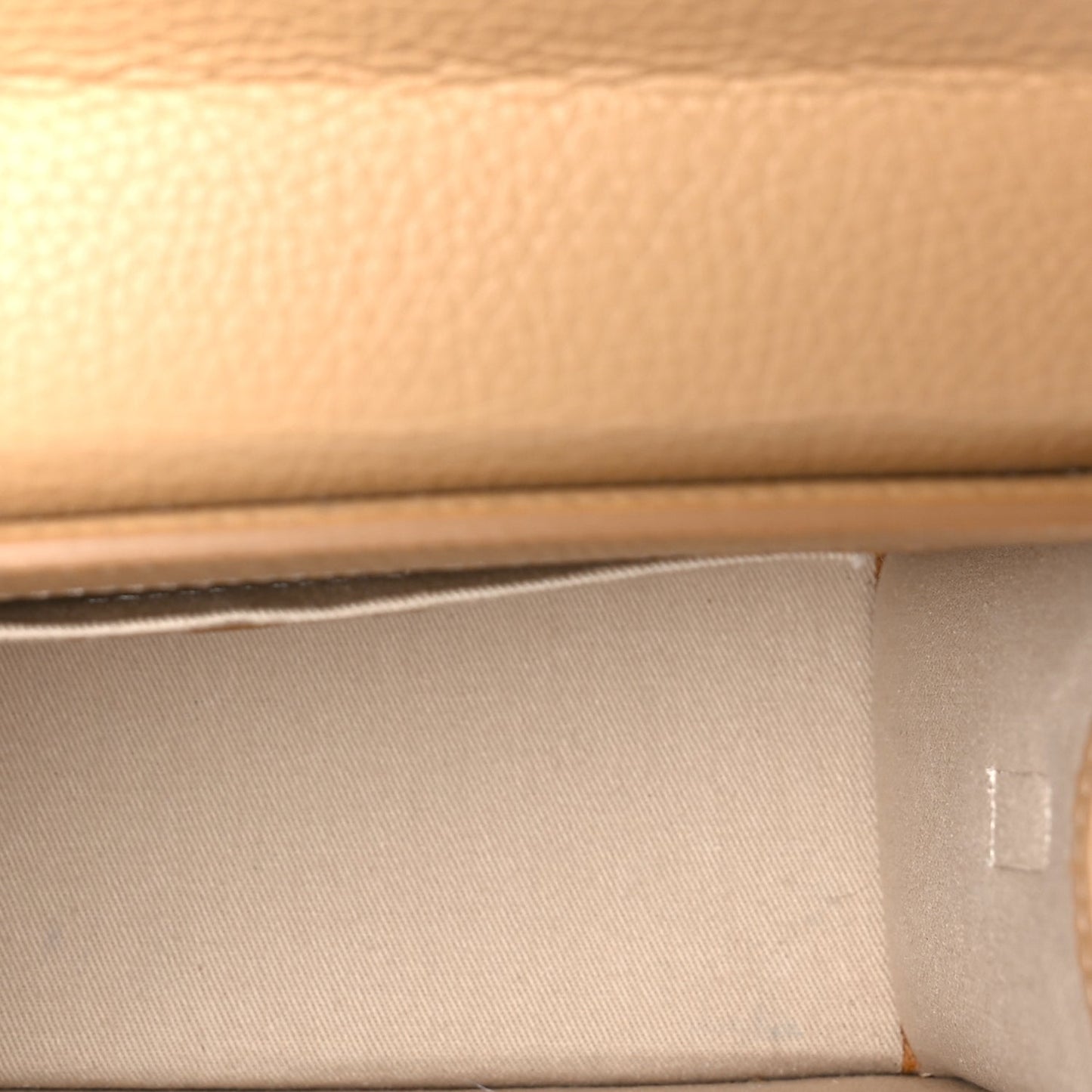 Jacquemus Grained Calfskin Le Grand Chiquito  Camel