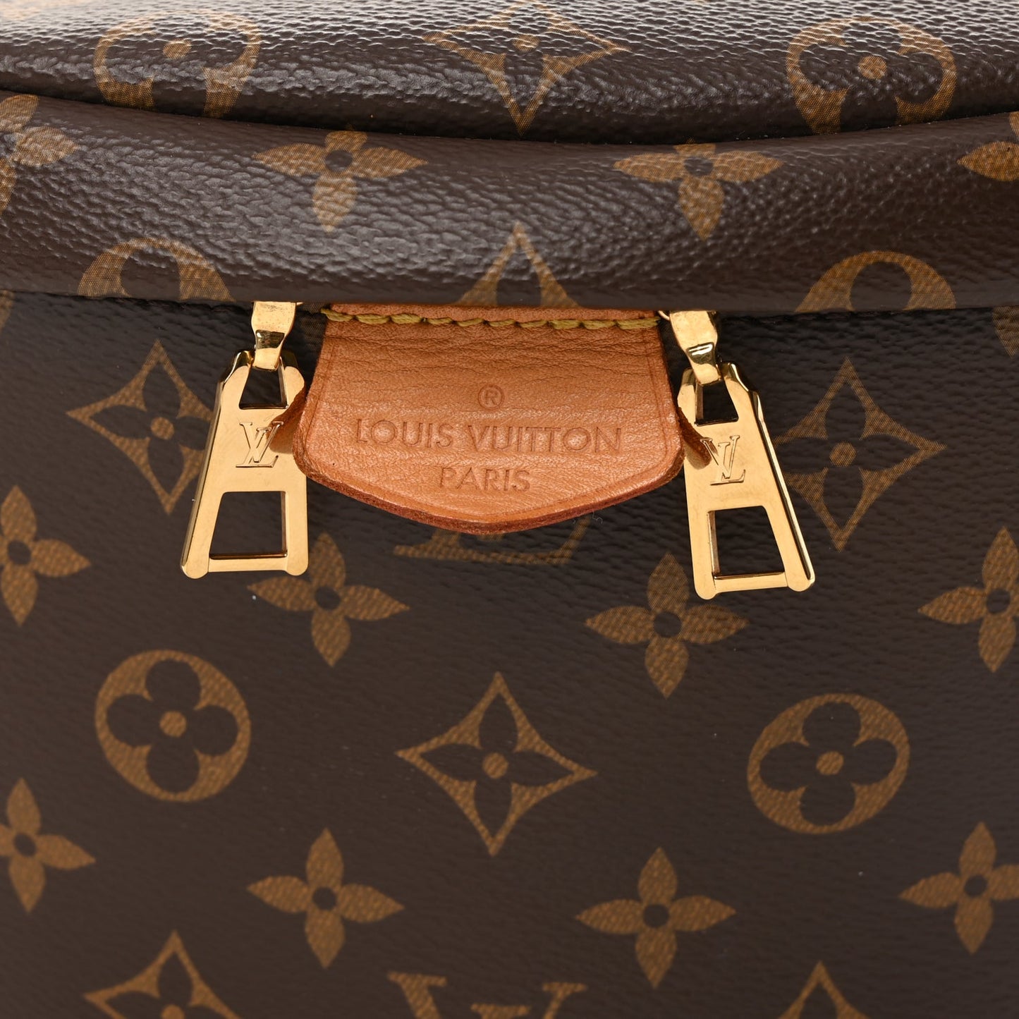 Louis Vuitton Monogram Bumbag
