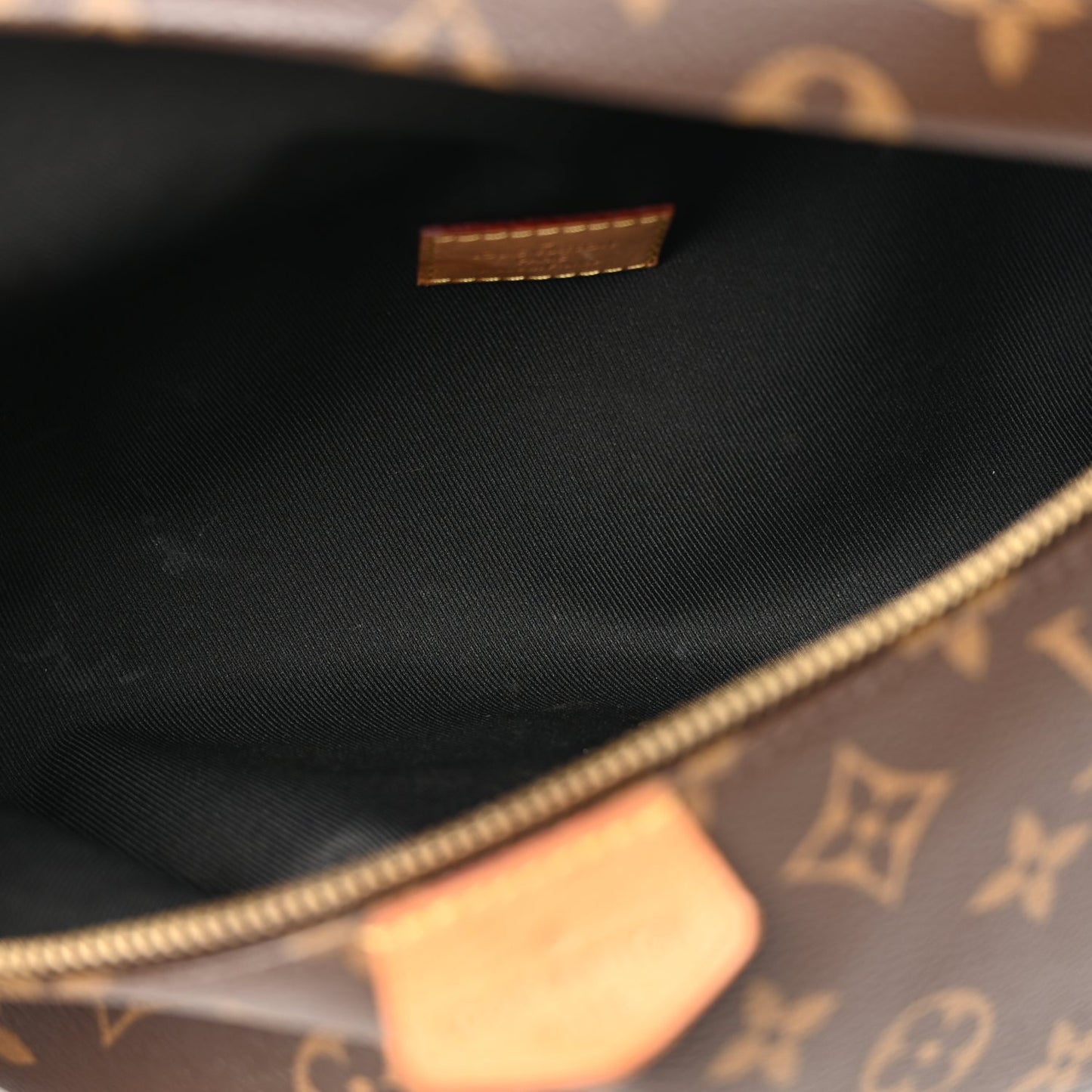 Louis Vuitton Monogram Bumbag