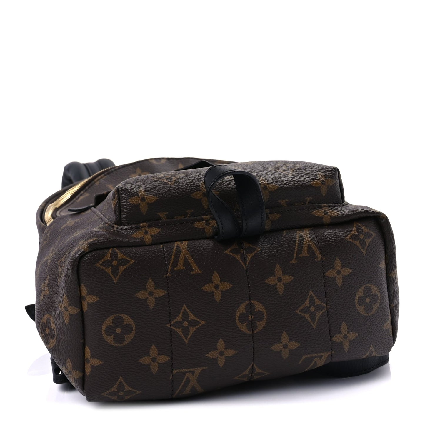 Louis Vuitton Monogram Palm Springs Backpack PM
