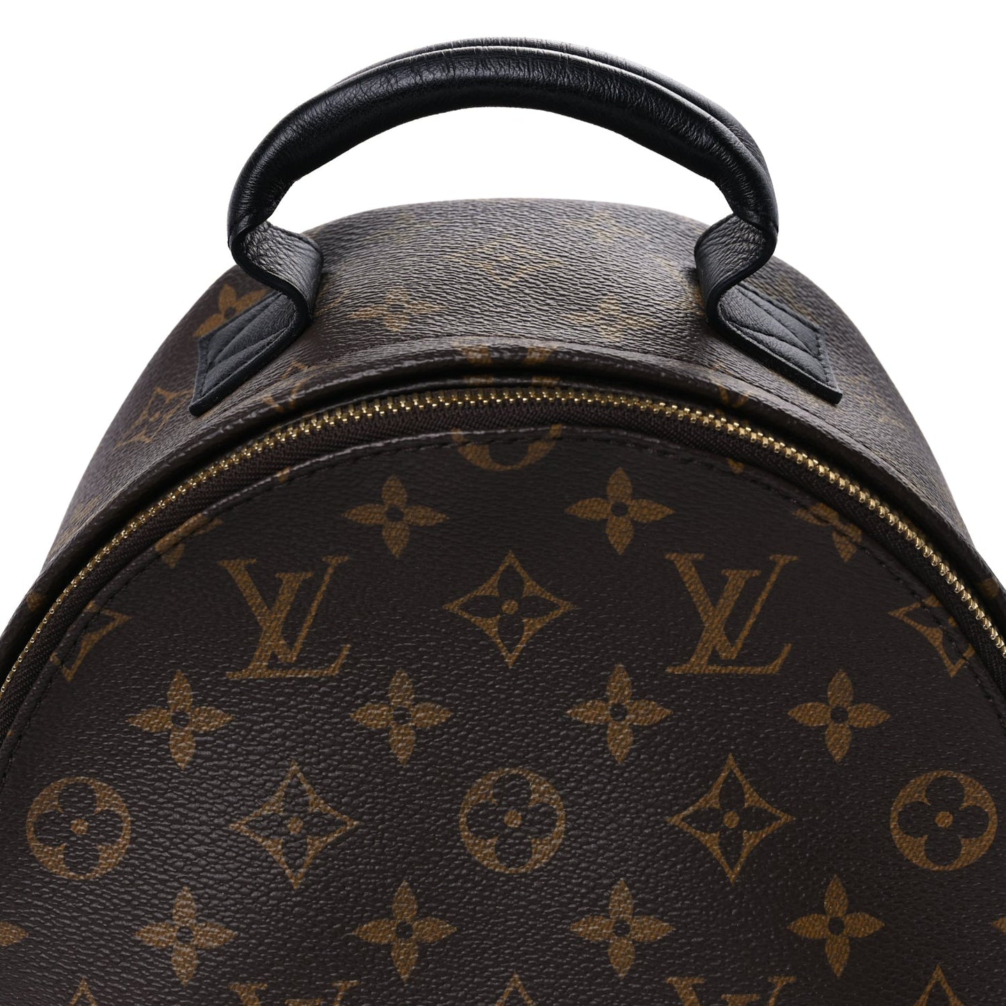 Louis Vuitton Monogram Palm Springs Backpack PM