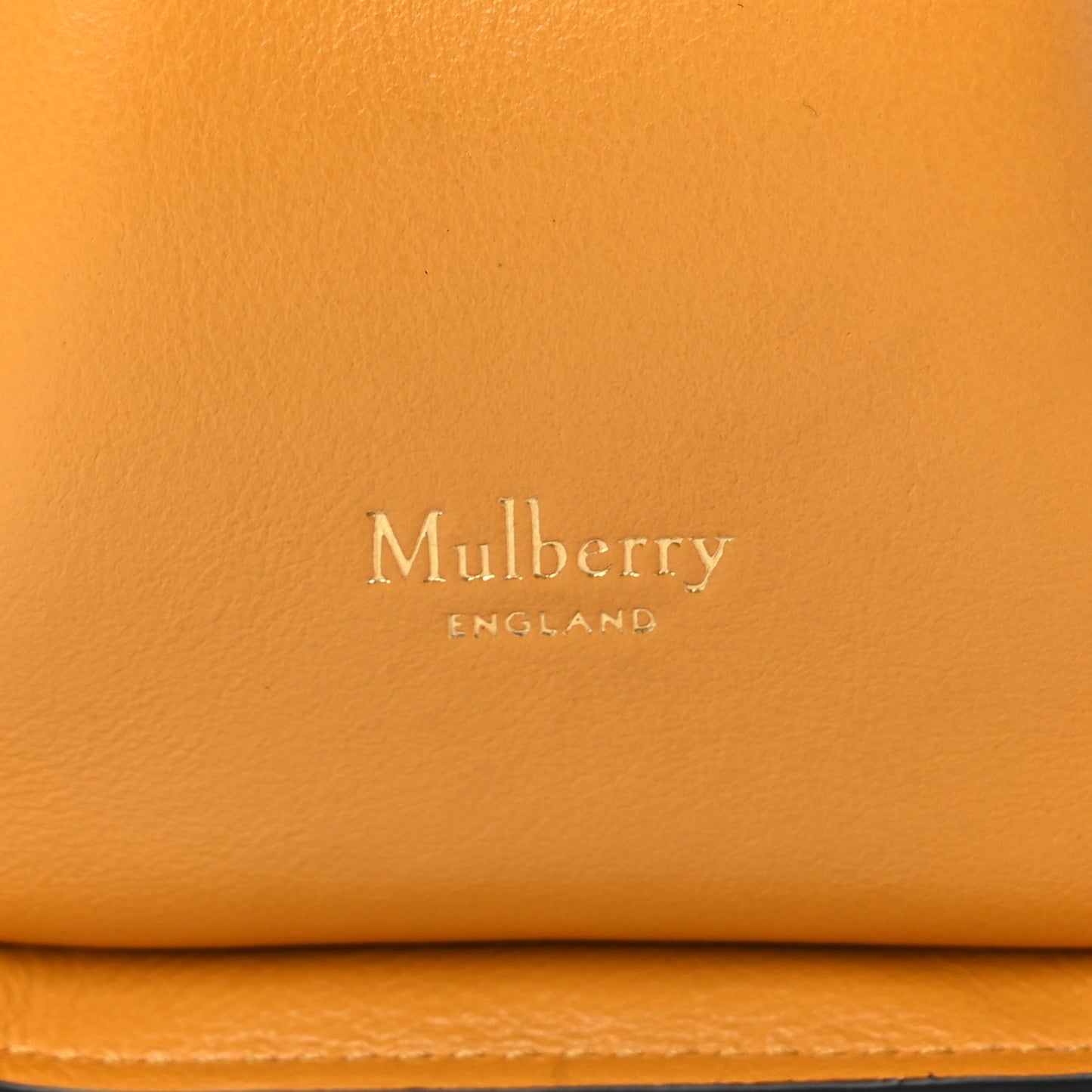 Mulberry Calfskin Canvas Print Small Iris Tote  Deep Amber