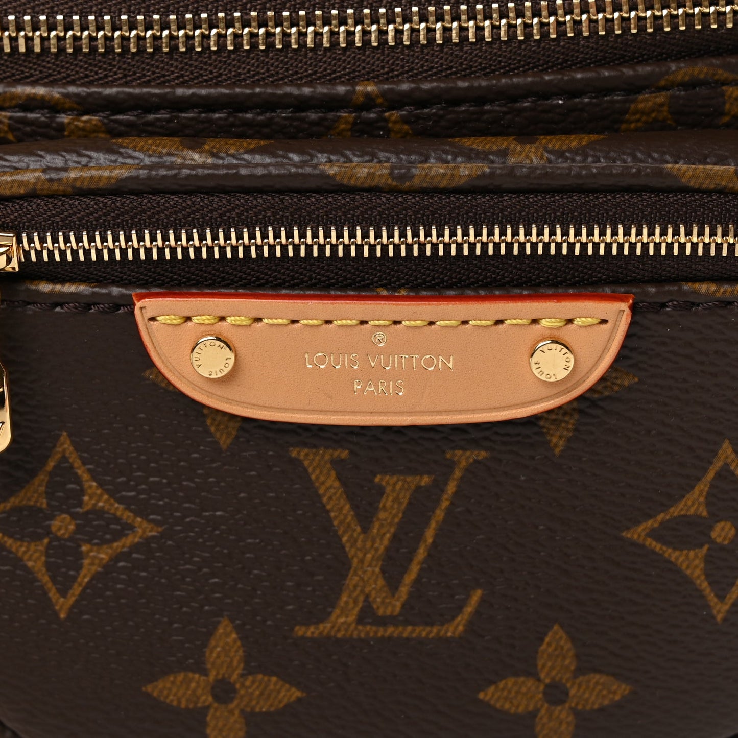 Louis Vuitton Monogram Mini Bum Bag  Monogram