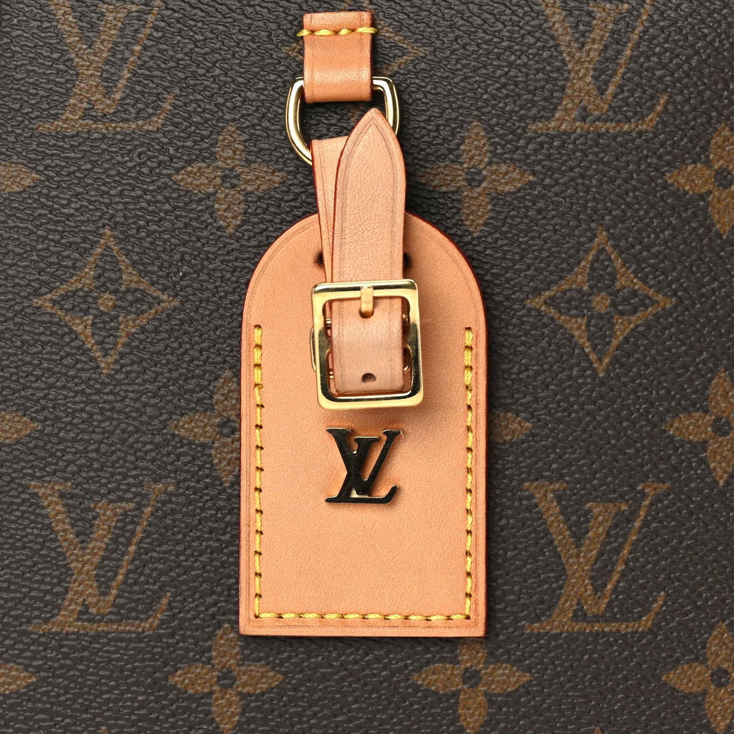 Louis Vuitton Reverse Monogram Around Me PM