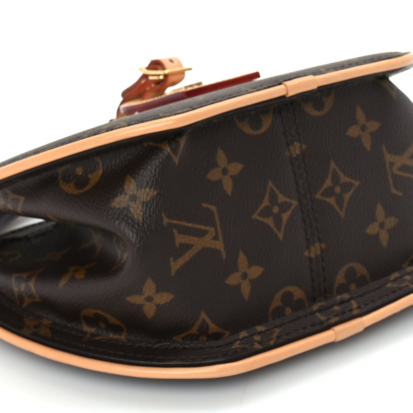 Louis Vuitton Reverse Monogram Around Me PM