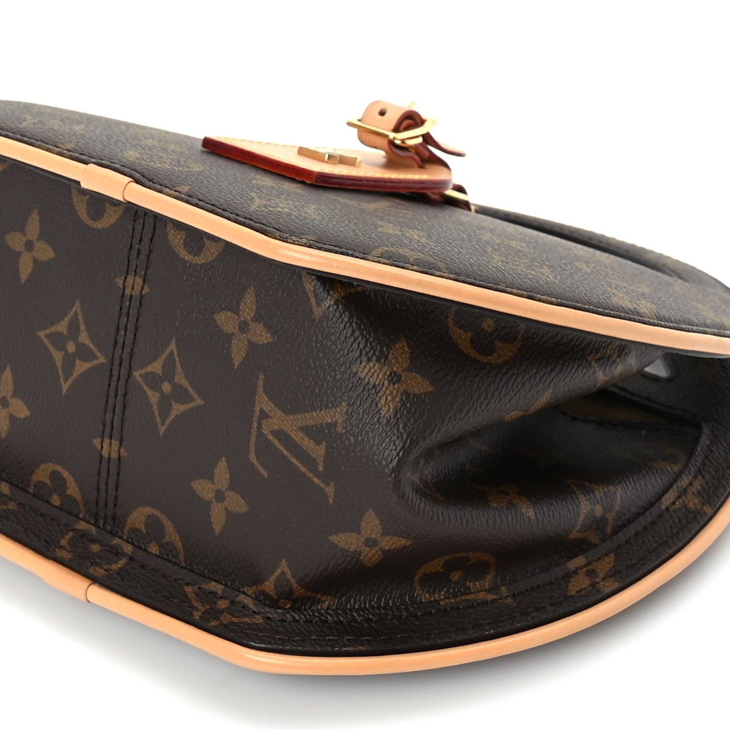 Louis Vuitton Reverse Monogram Around Me PM