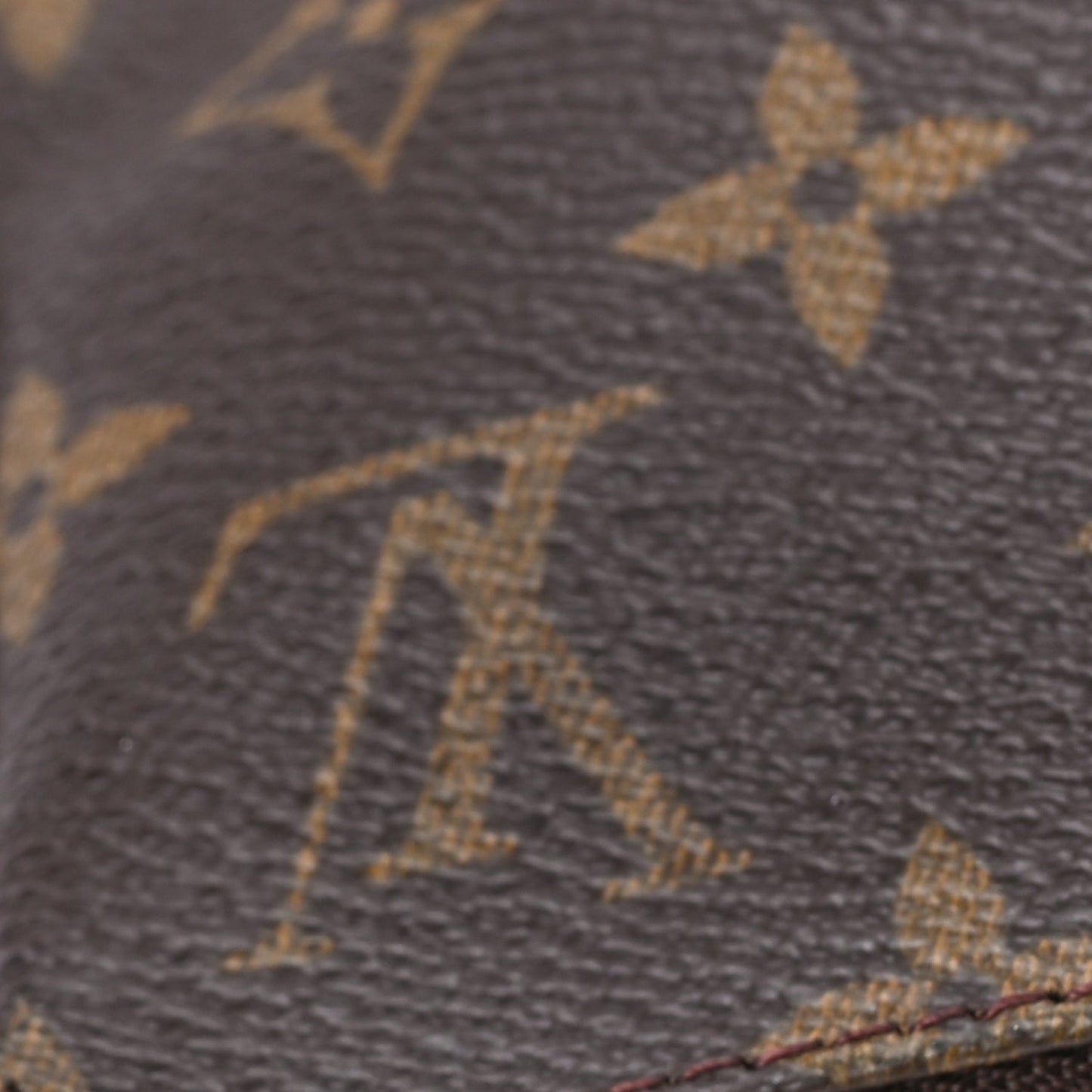 Louis Vuitton Monogram Pochette Accessories