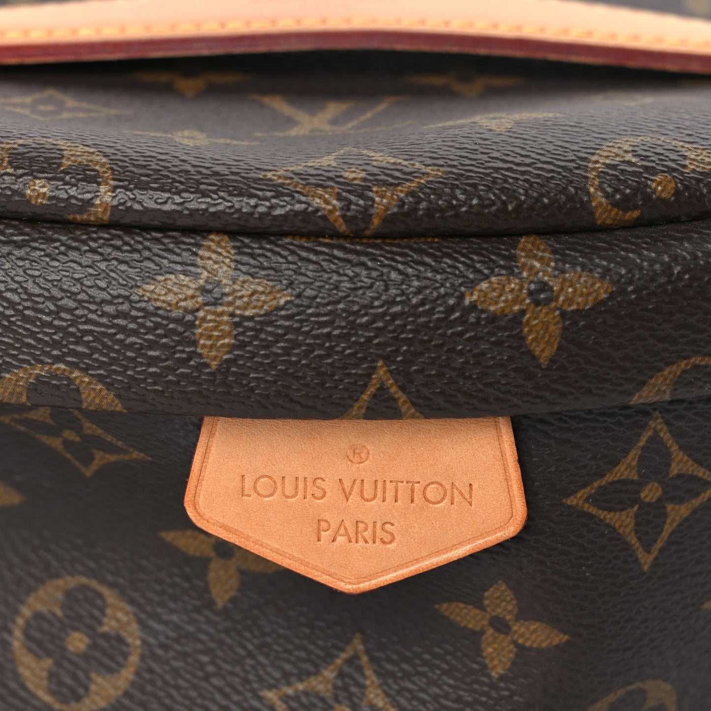 Louis Vuitton Monogram Bumbag