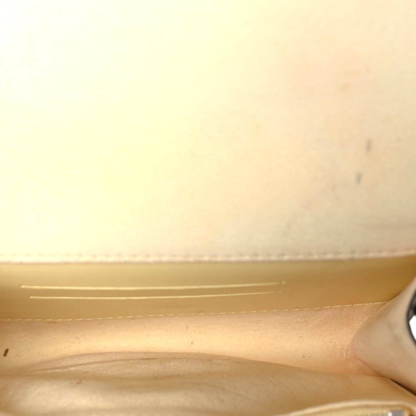 Louis Vuitton Epi Louise PM Jaune Plume Jaune Plum