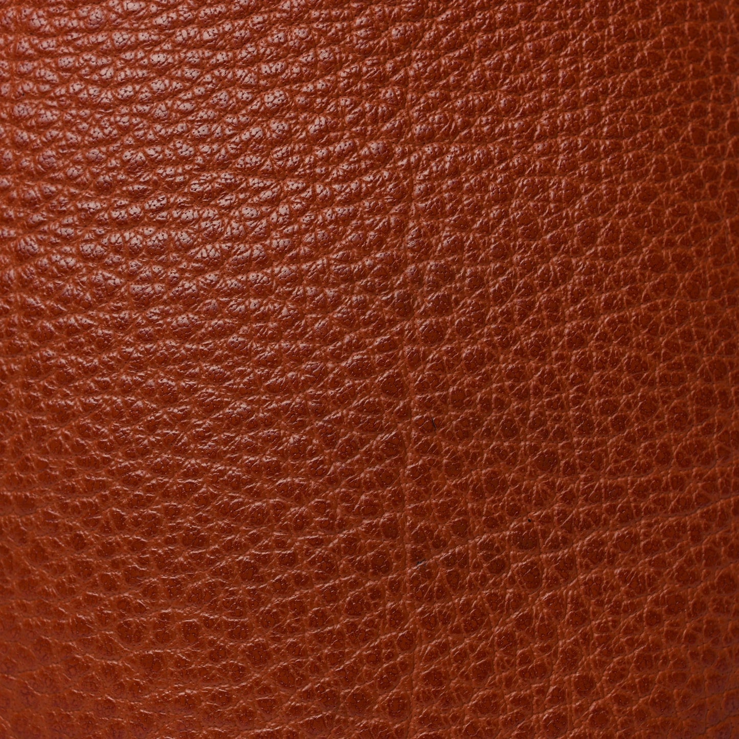 Hermes Buffle Skipper Birkin 35 Noisette
