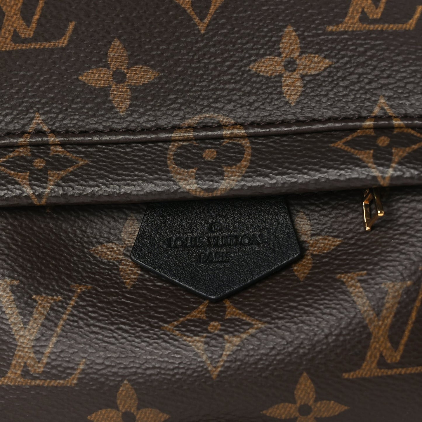 Louis Vuitton Monogram Palm Springs Backpack Mini Black