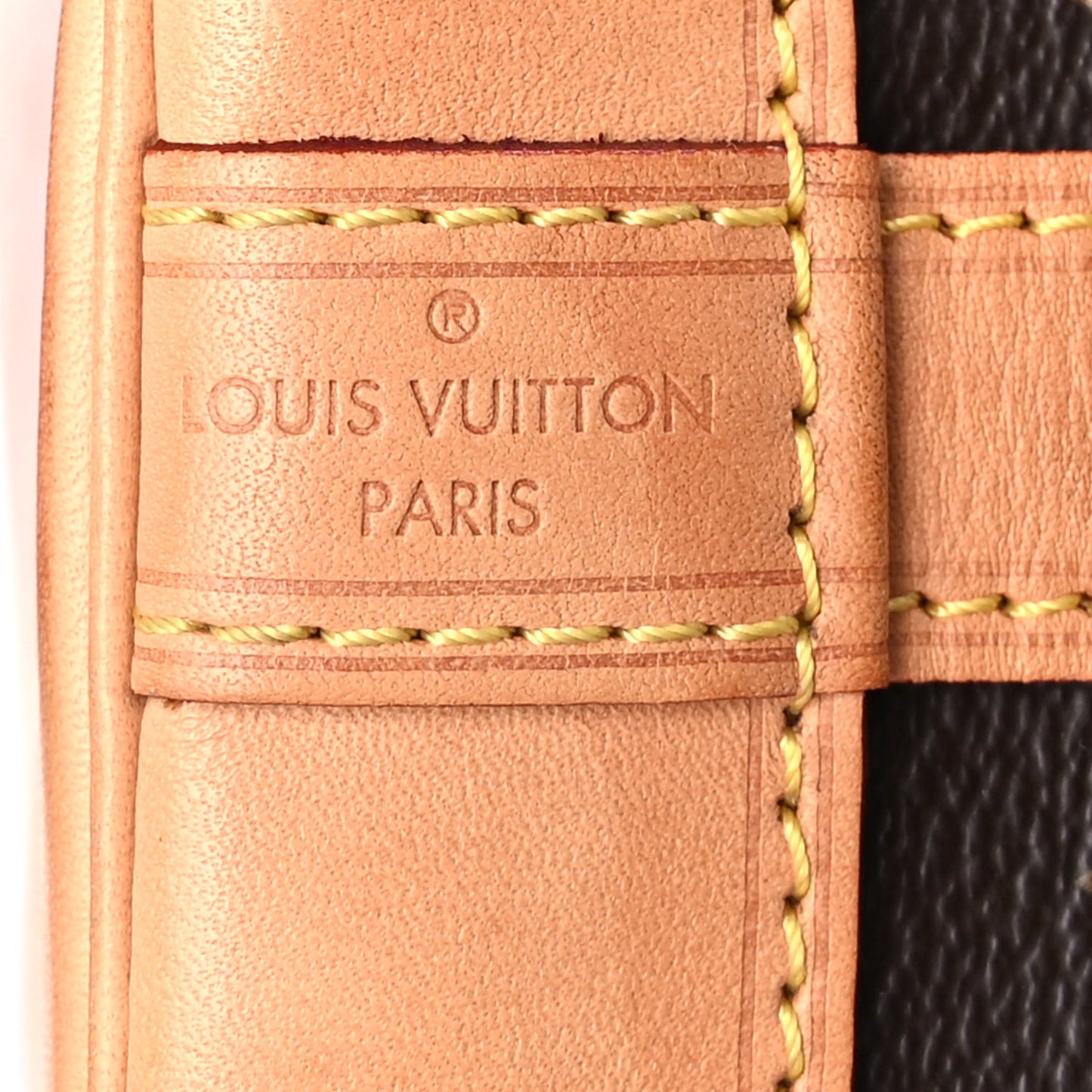 Louis Vuitton Monogram Petit Noe NM