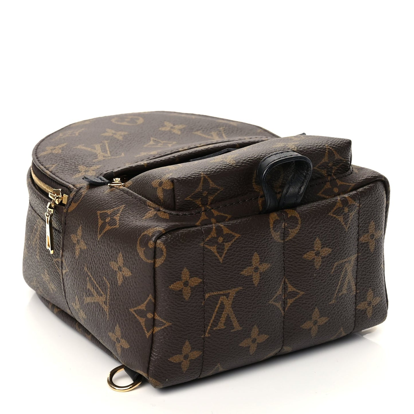 Louis Vuitton Monogram Palm Springs Backpack Mini Monogram