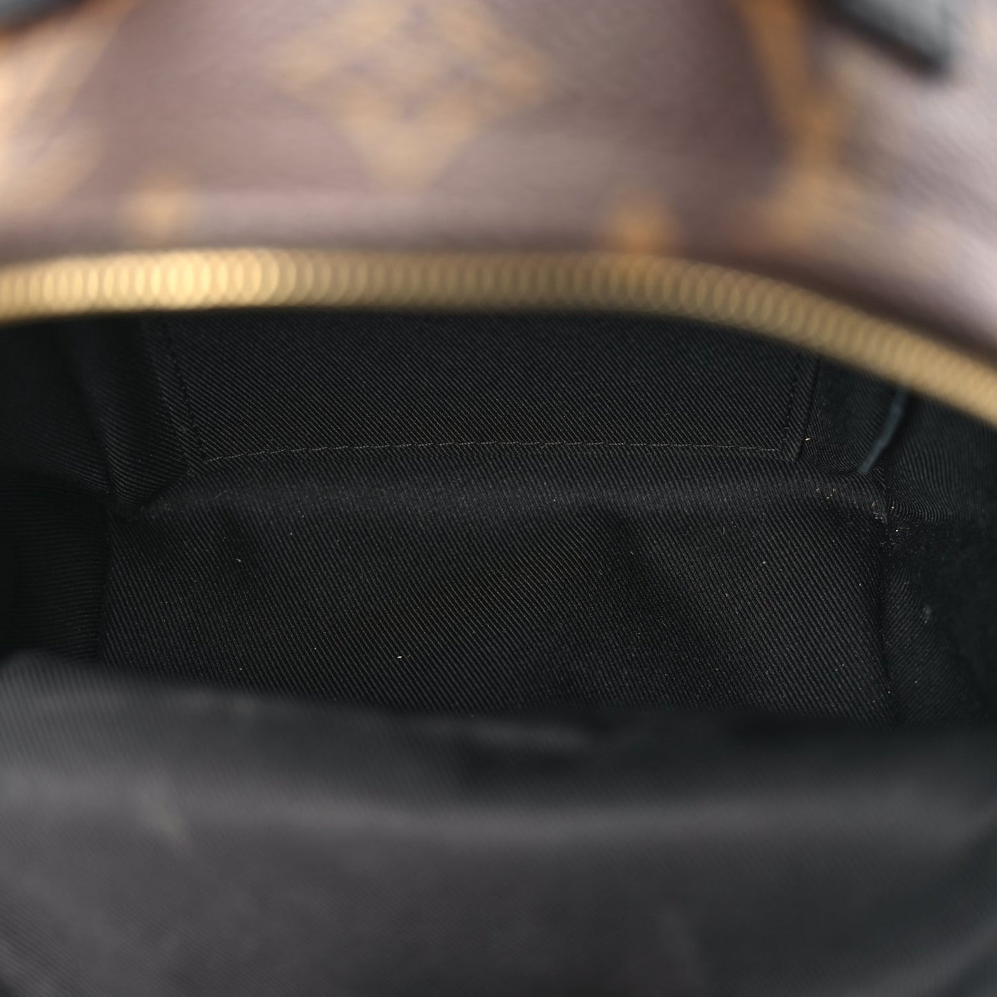 Louis Vuitton Monogram Palm Springs Backpack Mini Monogram