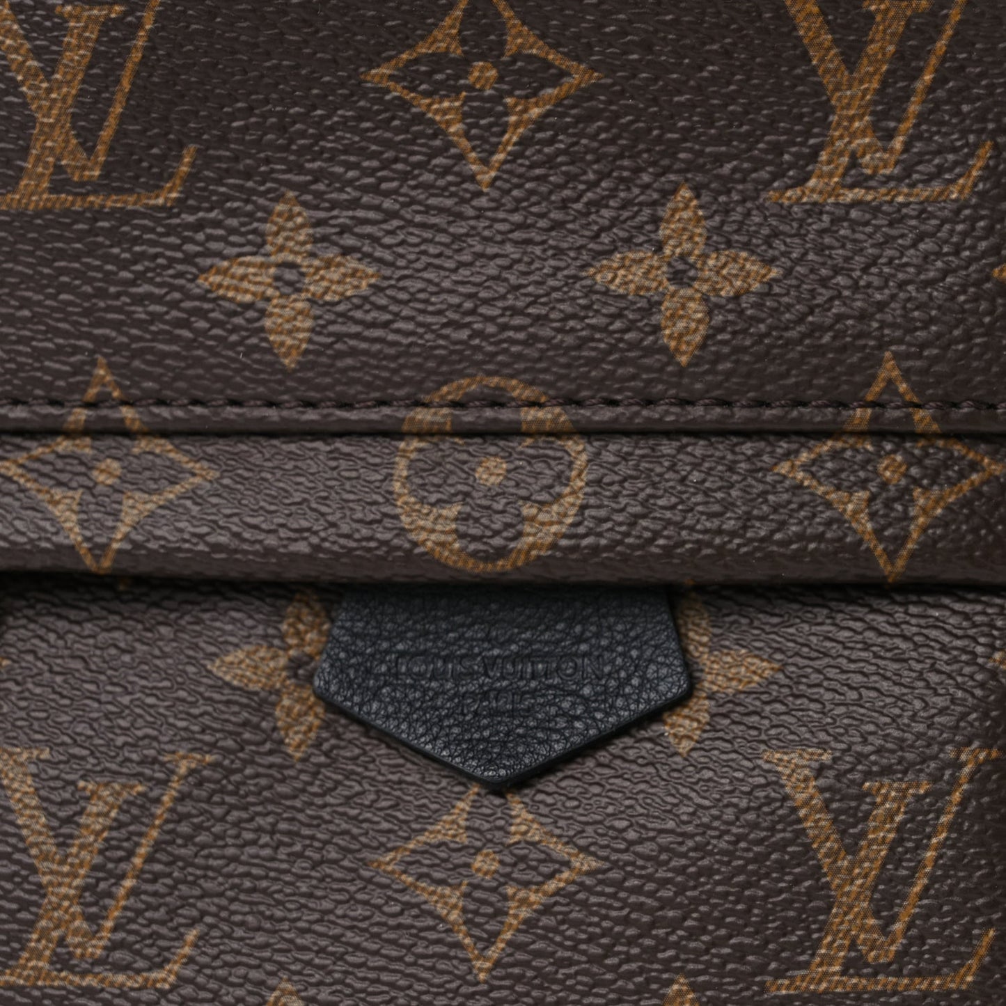 Louis Vuitton Monogram Palm Springs Backpack Mini Monogram