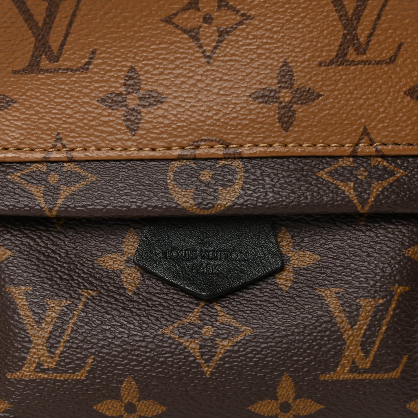 Louis Vuitton Reverse Monogram Palm Springs Backpack Mini