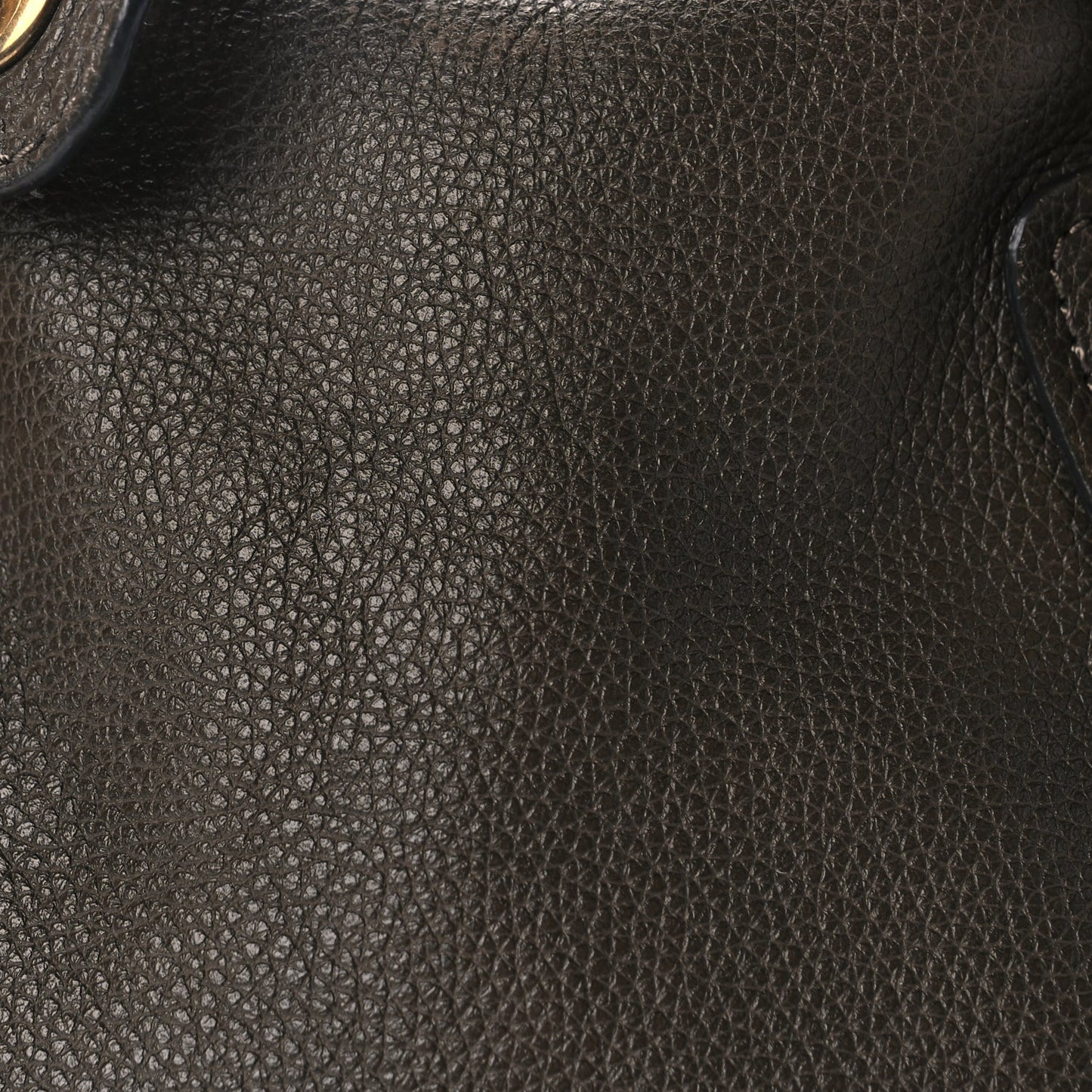Chloe Calfskin Medium Paraty Rock Rock