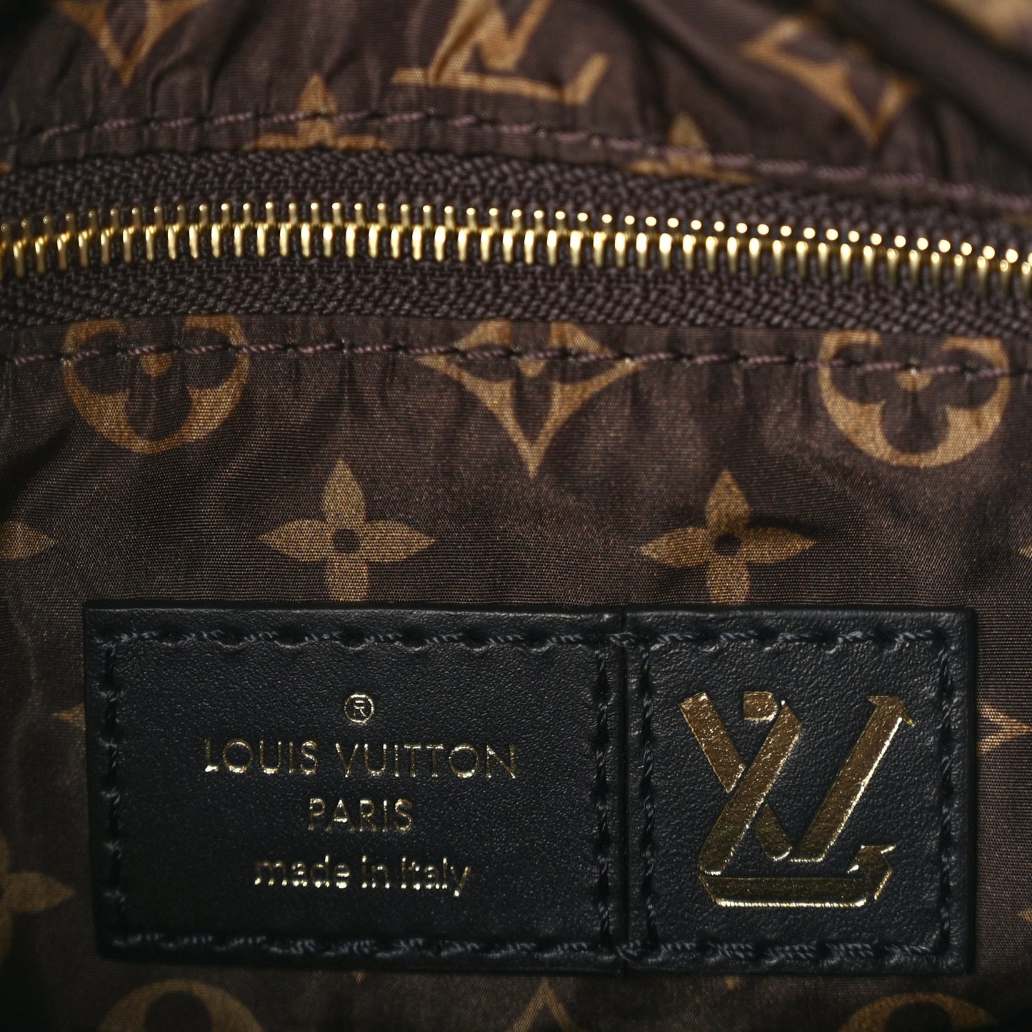 Louis Vuitton Econyl Mini Monogram Pillow Speedy Bandouliere 25 Black