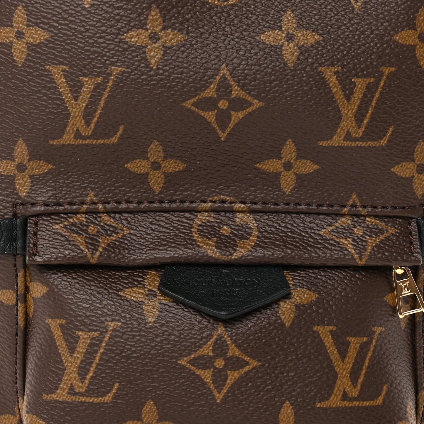 Louis Vuitton Monogram Palm Springs Backpack Mini