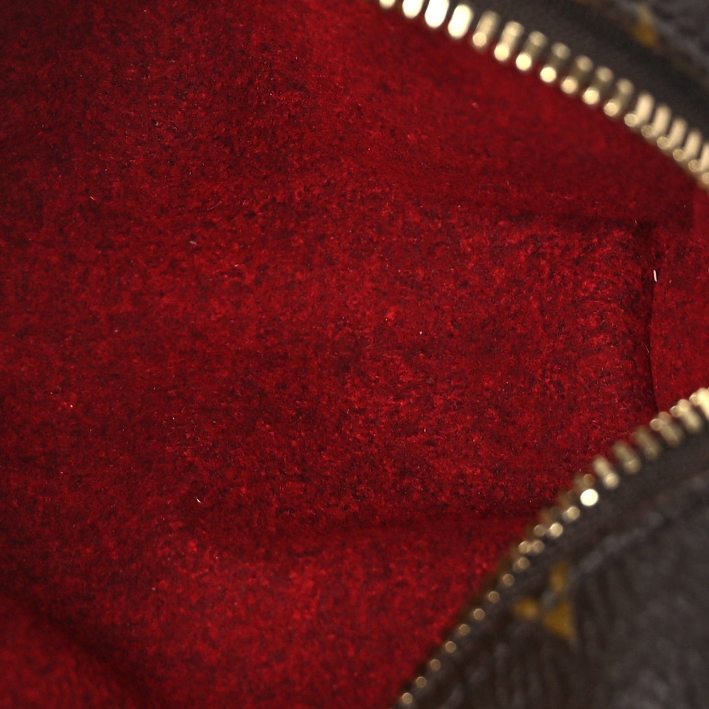 Louis Vuitton Monogram Wapity