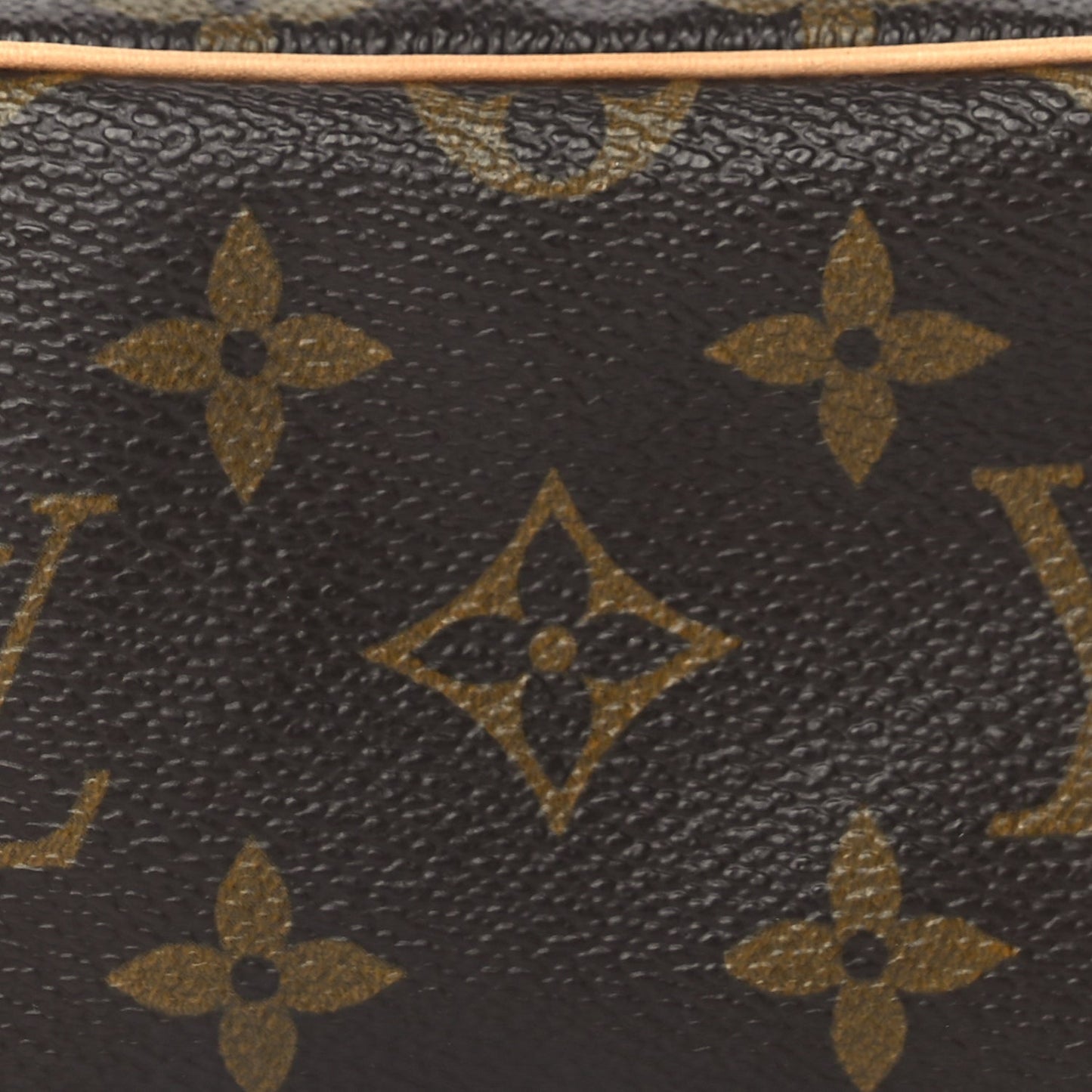 Louis Vuitton Monogram Wapity