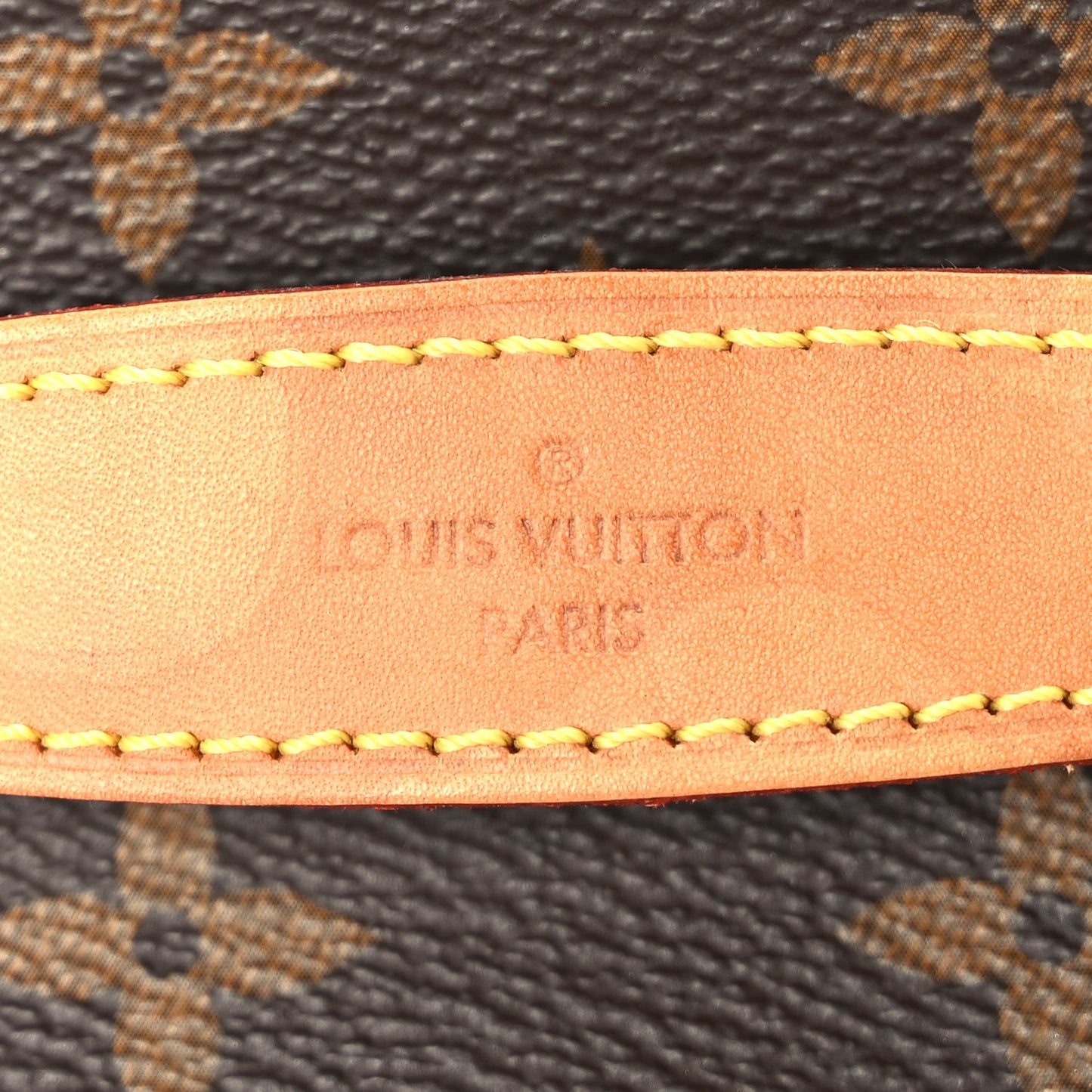 Louis Vuitton Monogram Nice BB